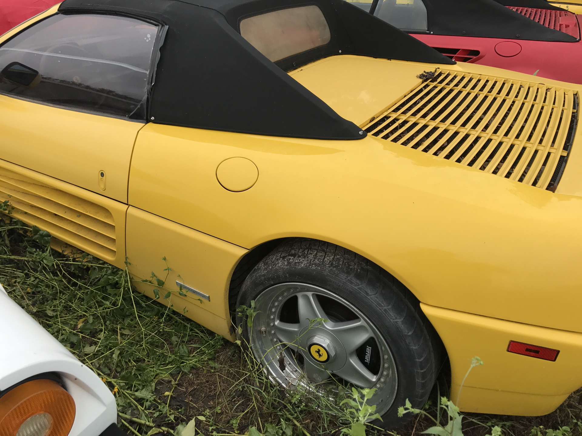 Ferrari-Abandoned-50 How Could ANYONE Let 11 Classic Ferraris To Die On A Field?