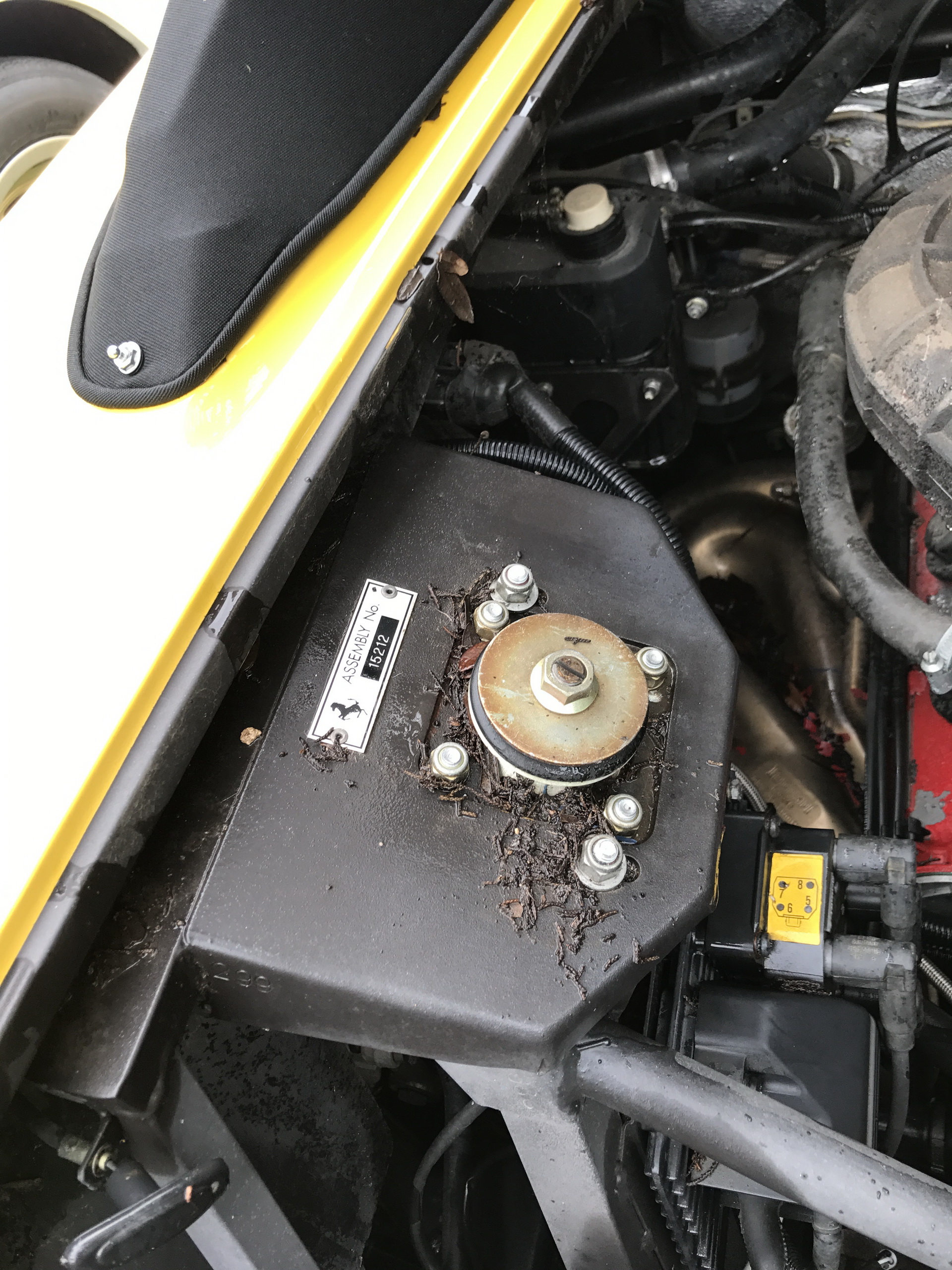 Ferrari-Abandoned-54 How Could ANYONE Let 11 Classic Ferraris To Die On A Field?