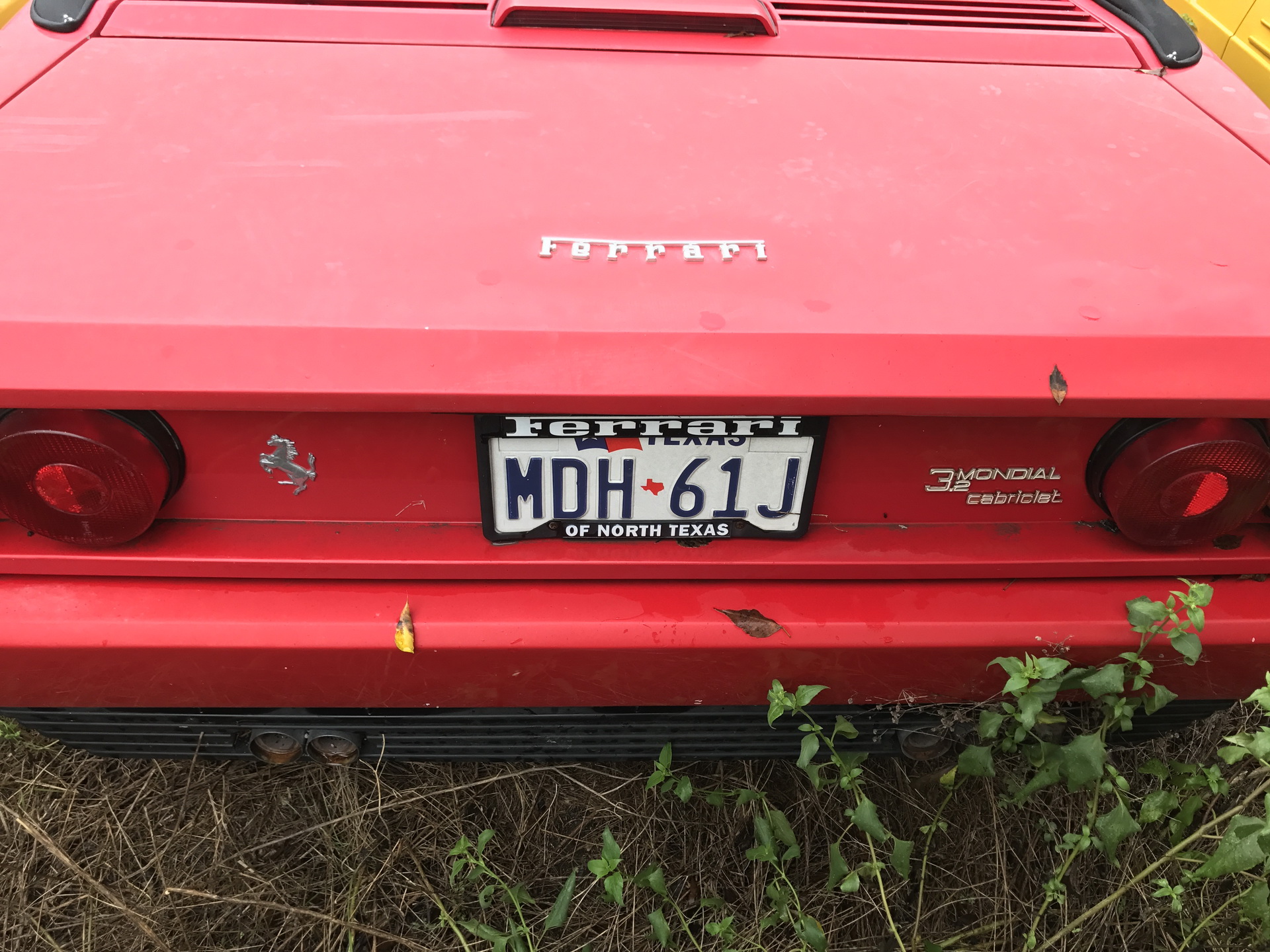 Ferrari-Abandoned-29 How Could ANYONE Let 11 Classic Ferraris To Die On A Field?