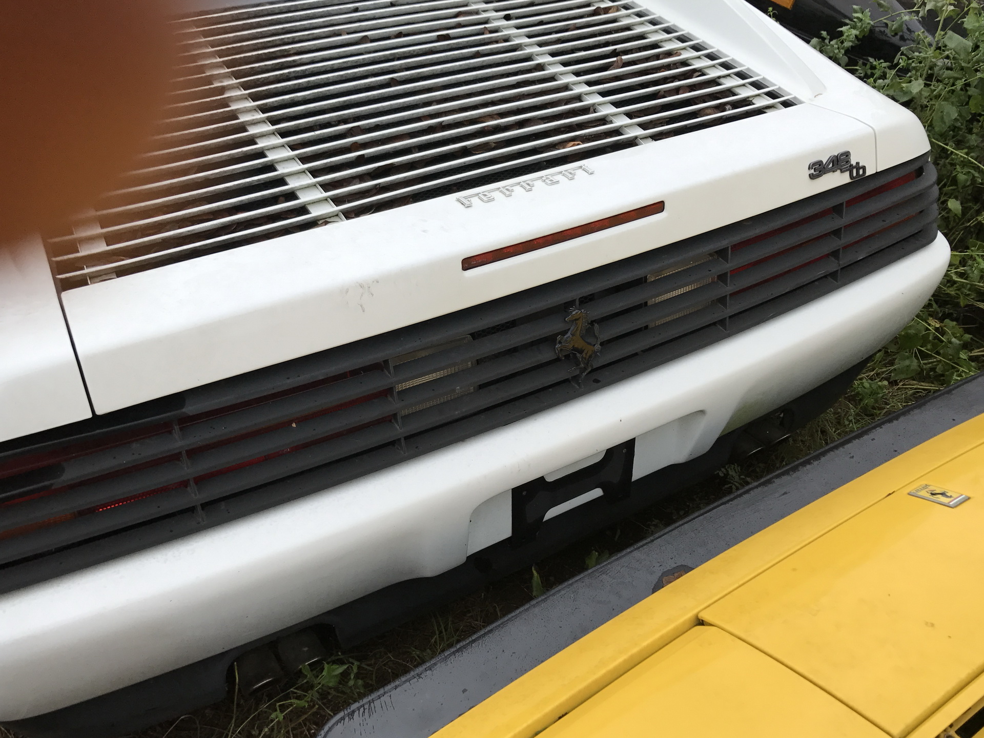 Ferrari-Abandoned-38 How Could ANYONE Let 11 Classic Ferraris To Die On A Field?