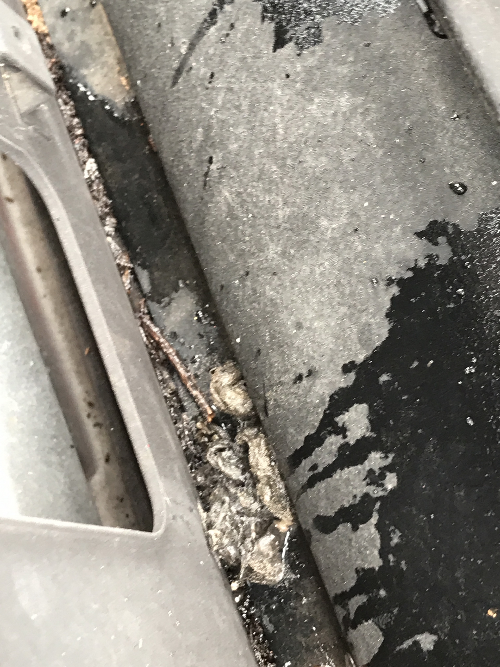 Ferrari-Abandoned-65 How Could ANYONE Let 11 Classic Ferraris To Die On A Field?