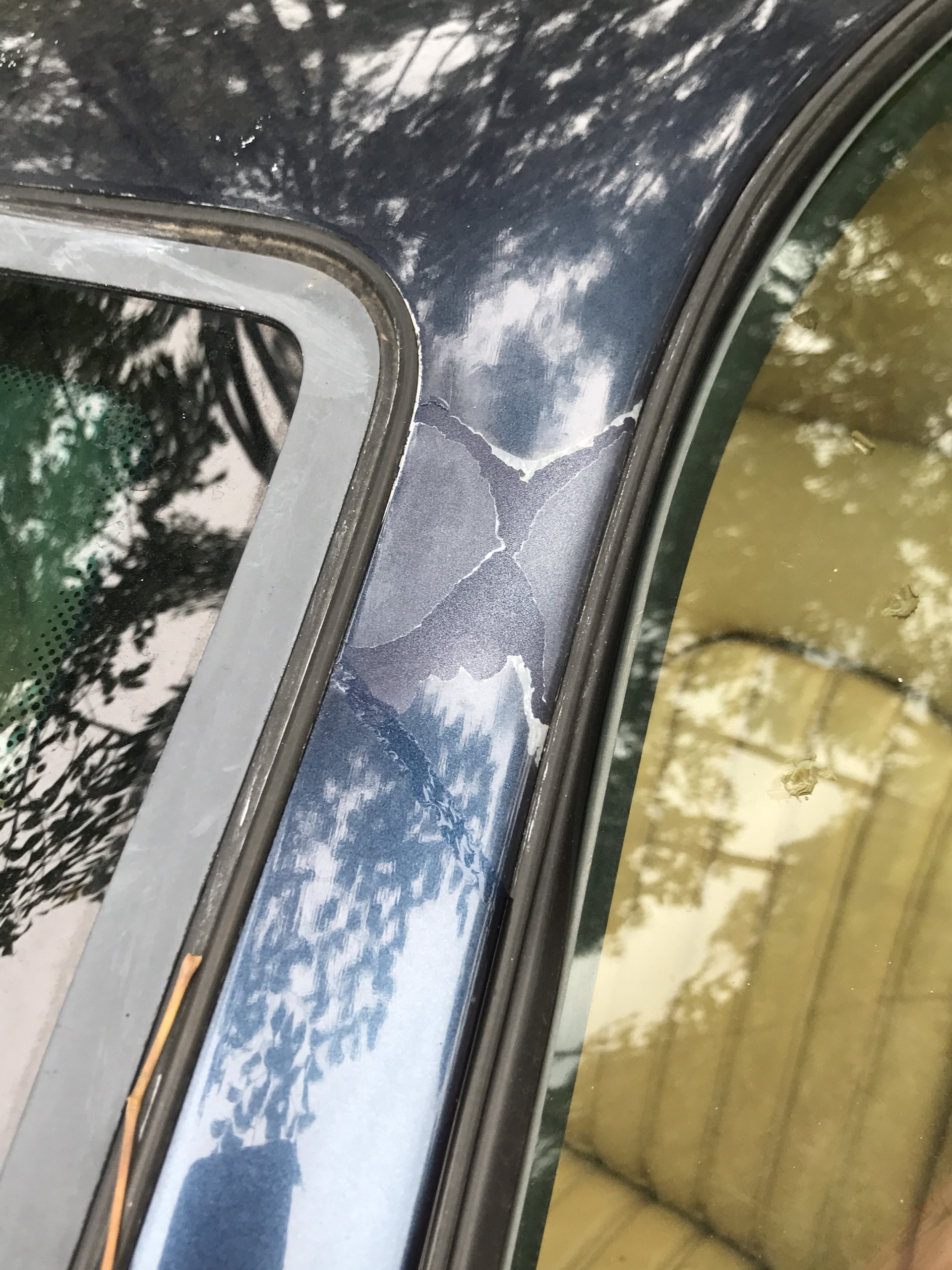 Ferrari-Abandoned-101 How Could ANYONE Let 11 Classic Ferraris To Die On A Field?