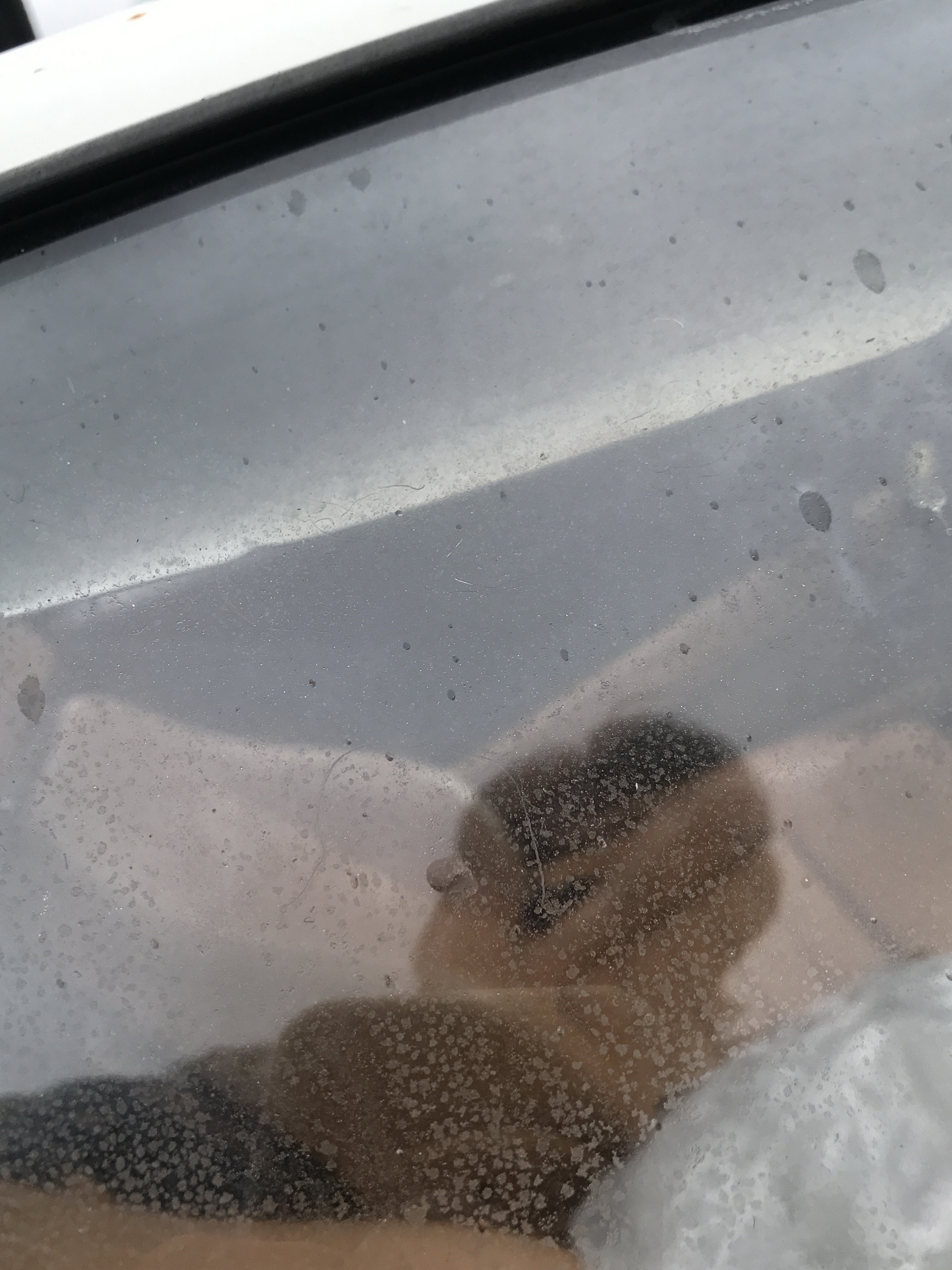 Ferrari-Abandoned-39 How Could ANYONE Let 11 Classic Ferraris To Die On A Field?