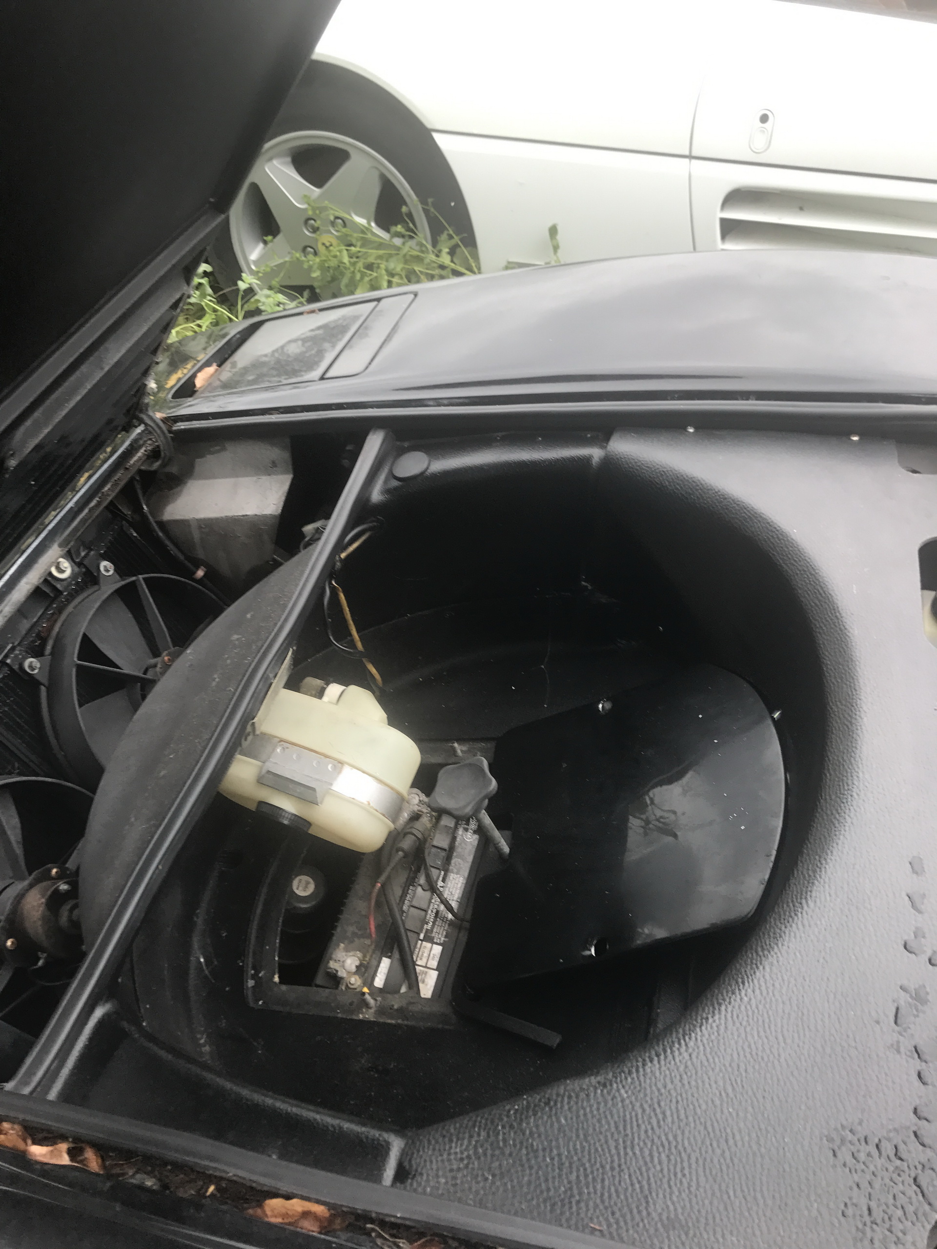 Ferrari-Abandoned-80 How Could ANYONE Let 11 Classic Ferraris To Die On A Field?