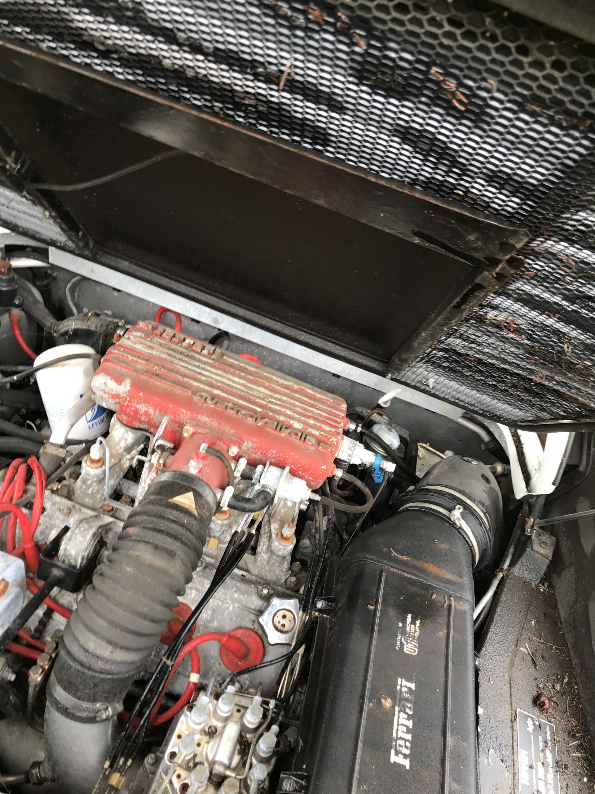 Ferrari-Abandoned-13 How Could ANYONE Let 11 Classic Ferraris To Die On A Field?