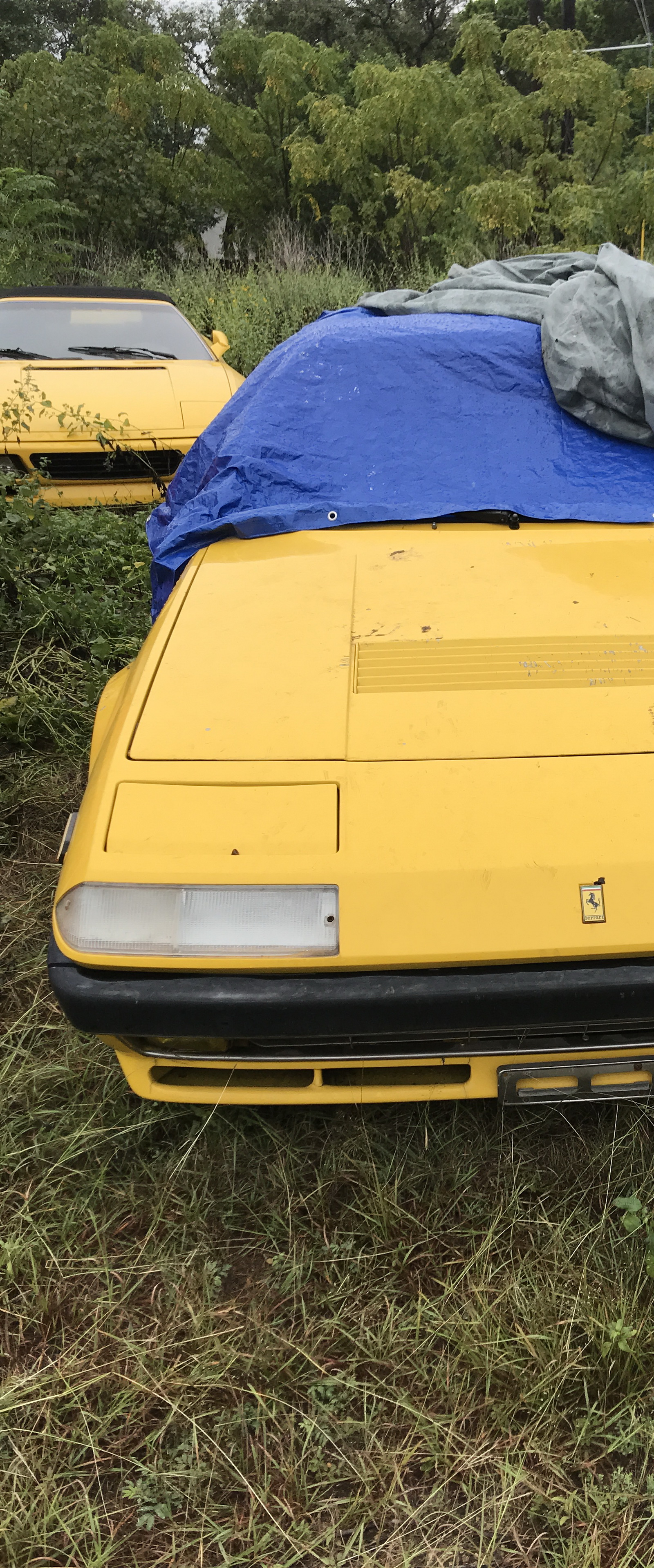 Ferrari-Abandoned-01 How Could ANYONE Let 11 Classic Ferraris To Die On A Field?