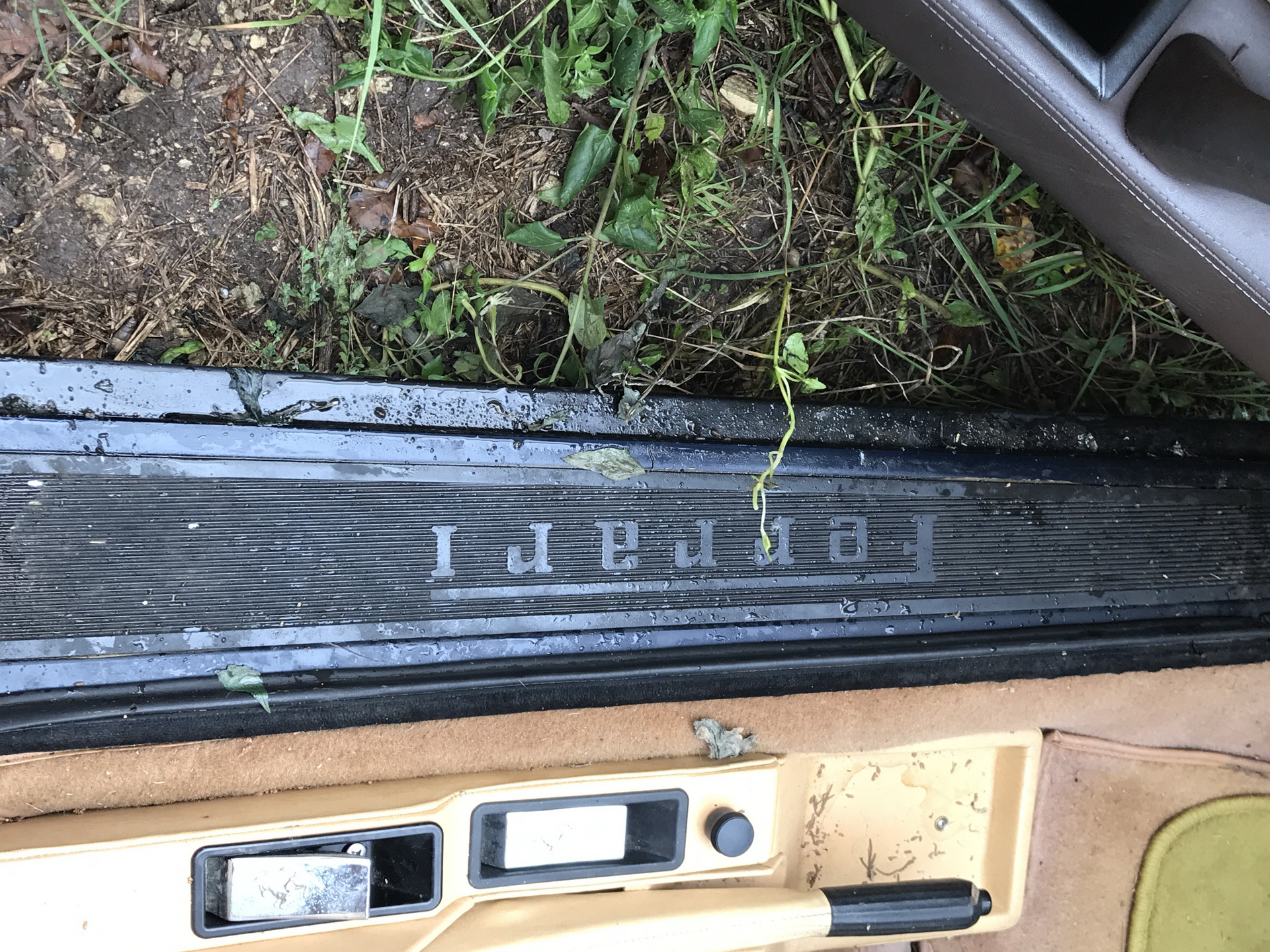 Ferrari-Abandoned-114 How Could ANYONE Let 11 Classic Ferraris To Die On A Field?
