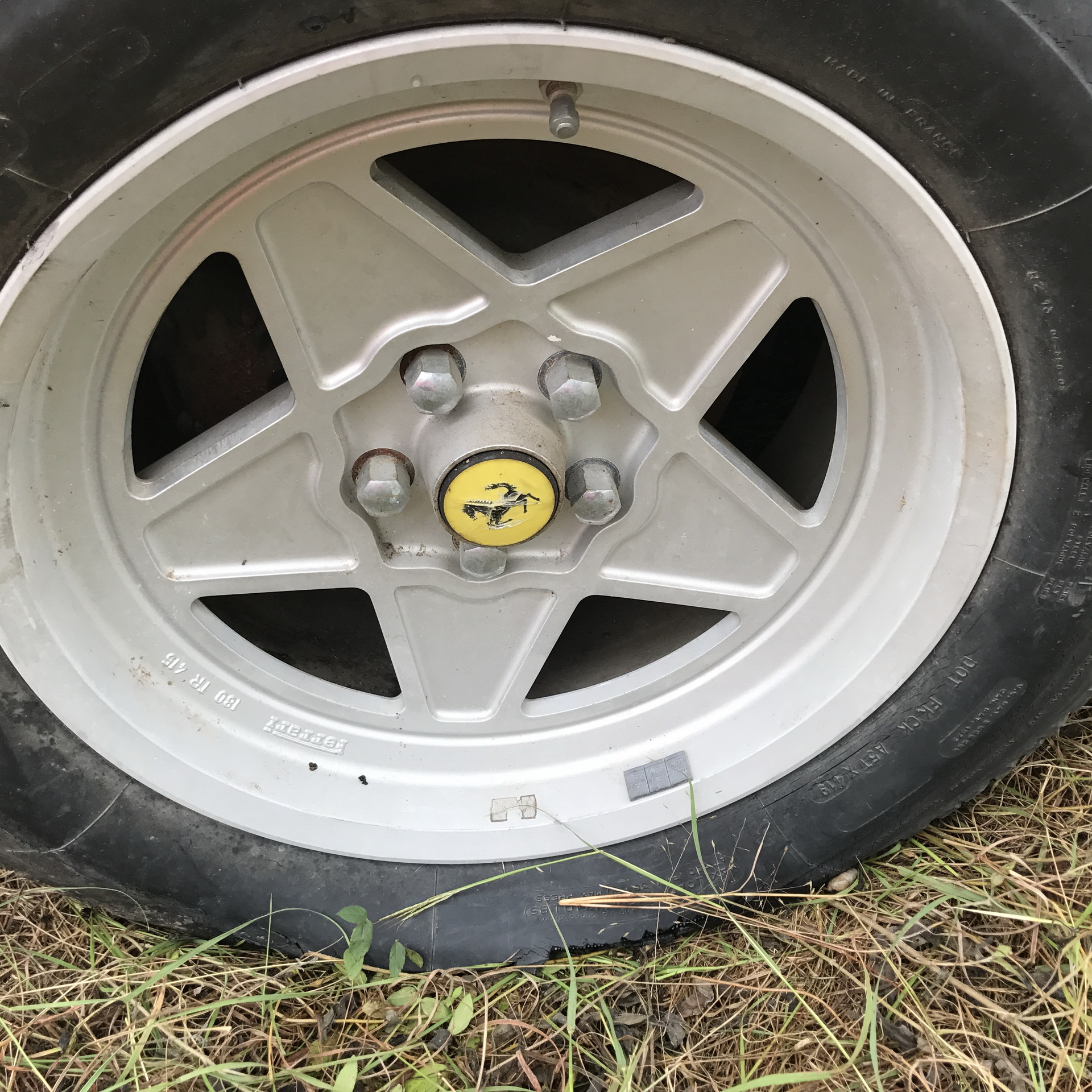 Ferrari-Abandoned-127 How Could ANYONE Let 11 Classic Ferraris To Die On A Field?