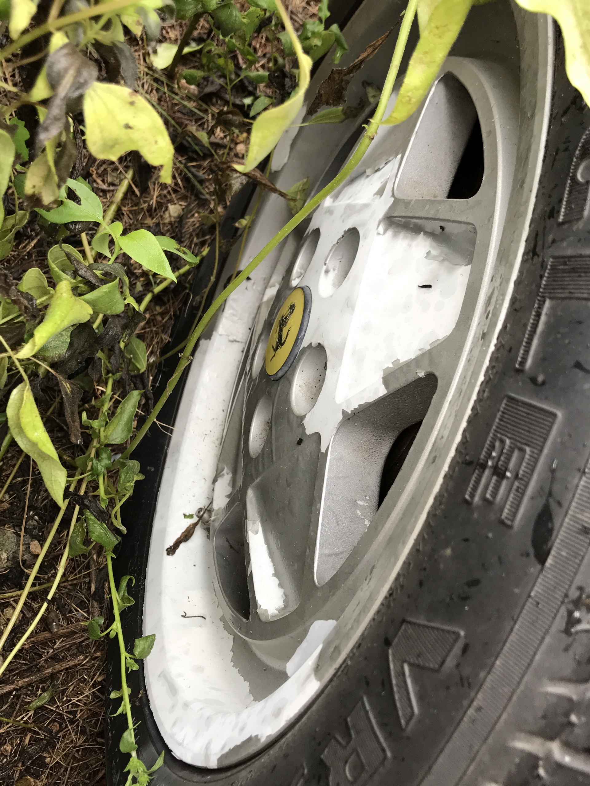 Ferrari-Abandoned-22 How Could ANYONE Let 11 Classic Ferraris To Die On A Field?