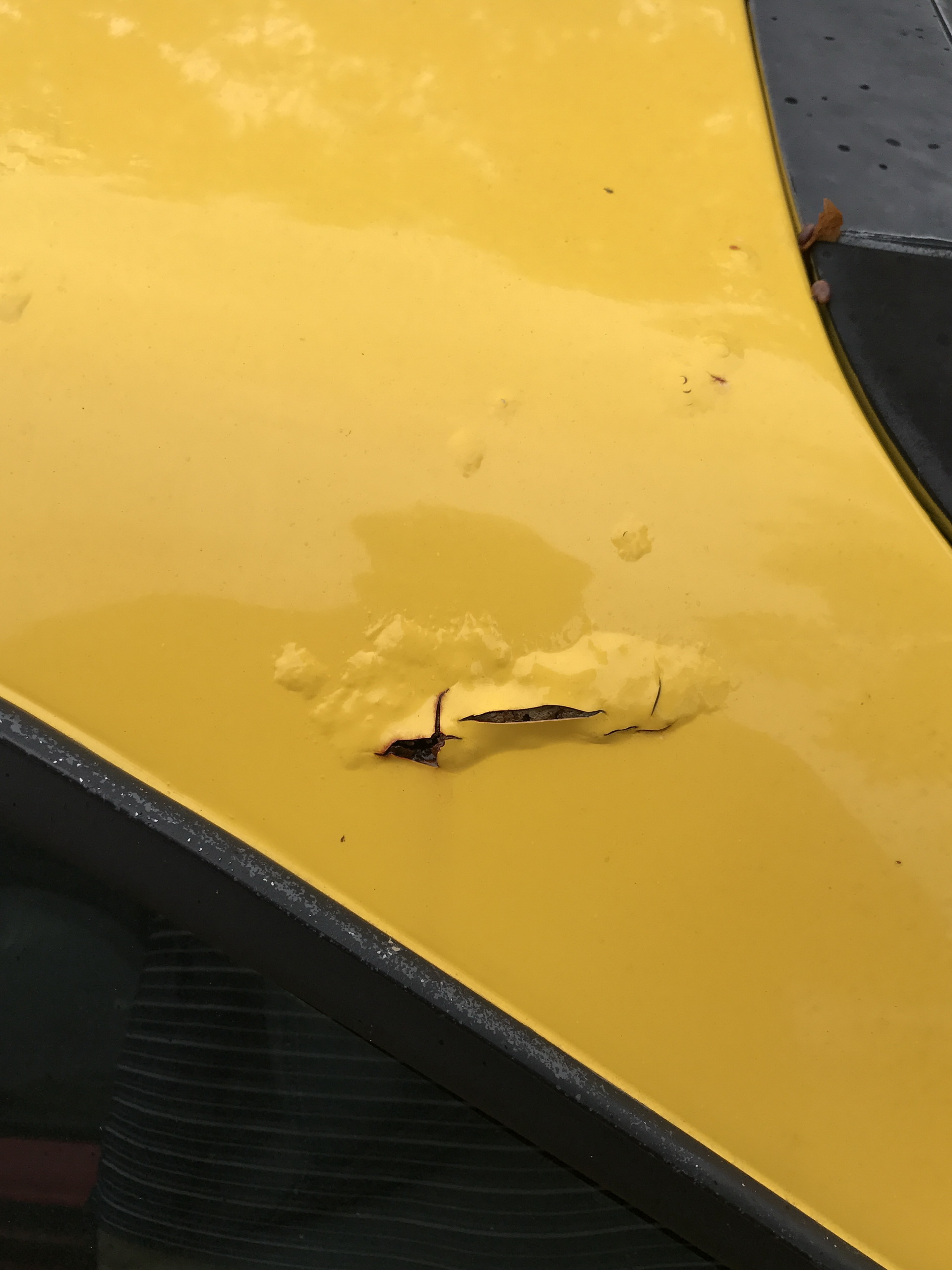 Ferrari-Abandoned-30 How Could ANYONE Let 11 Classic Ferraris To Die On A Field?