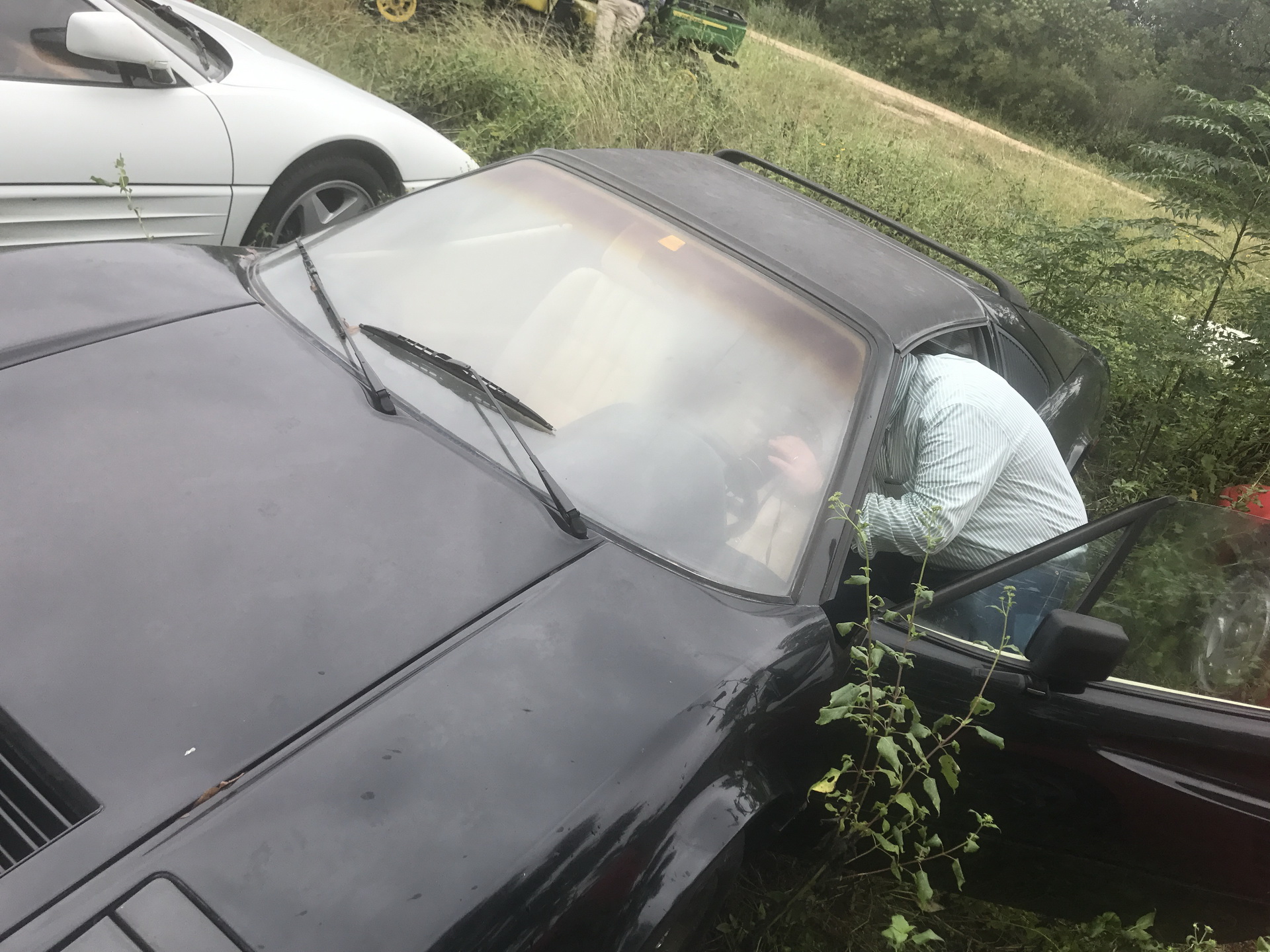 Ferrari-Abandoned-82 How Could ANYONE Let 11 Classic Ferraris To Die On A Field?