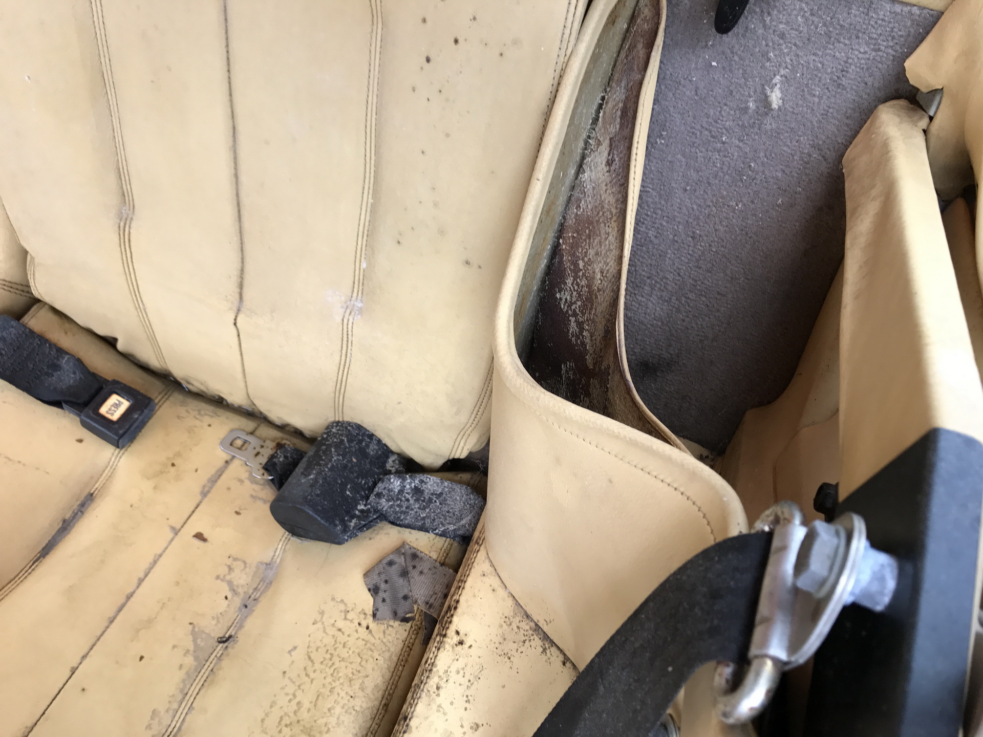 Ferrari-Abandoned-28 How Could ANYONE Let 11 Classic Ferraris To Die On A Field?