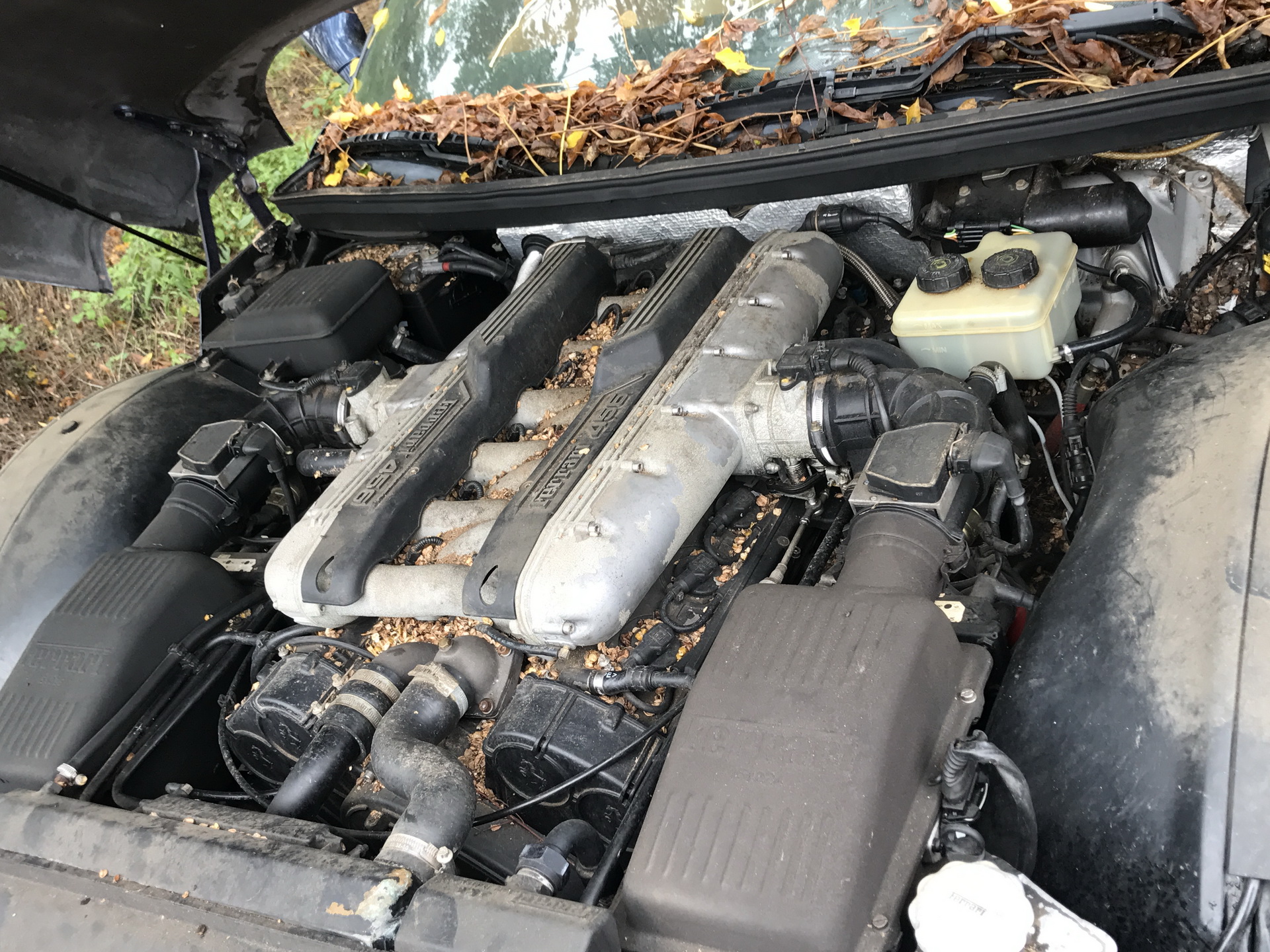 Ferrari-Abandoned-102 How Could ANYONE Let 11 Classic Ferraris To Die On A Field?