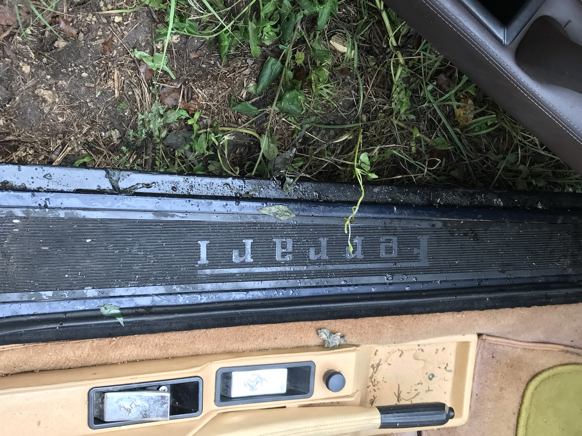 Ferrari-Abandoned-113 How Could ANYONE Let 11 Classic Ferraris To Die On A Field?