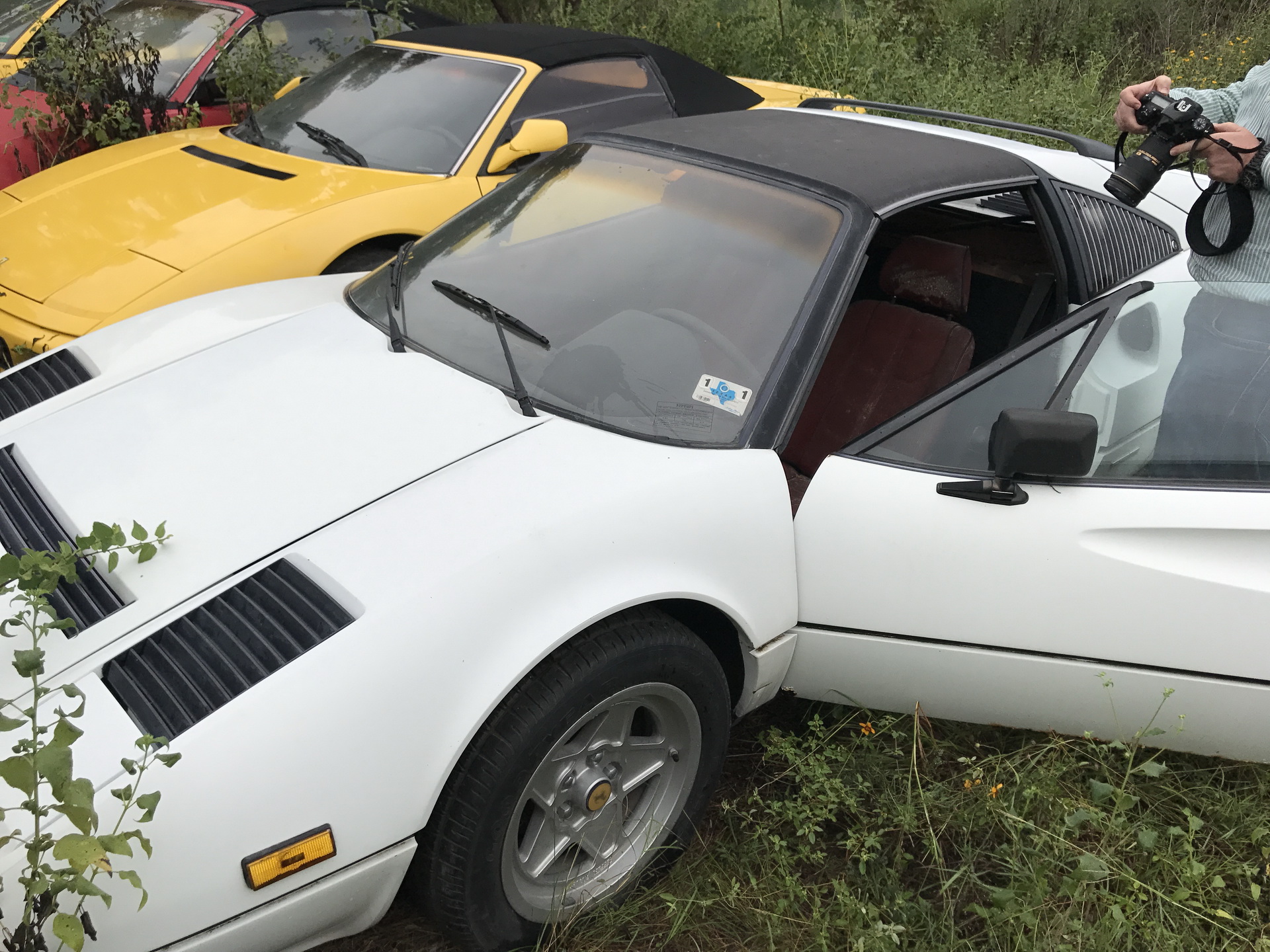 Ferrari-Abandoned-15 How Could ANYONE Let 11 Classic Ferraris To Die On A Field?