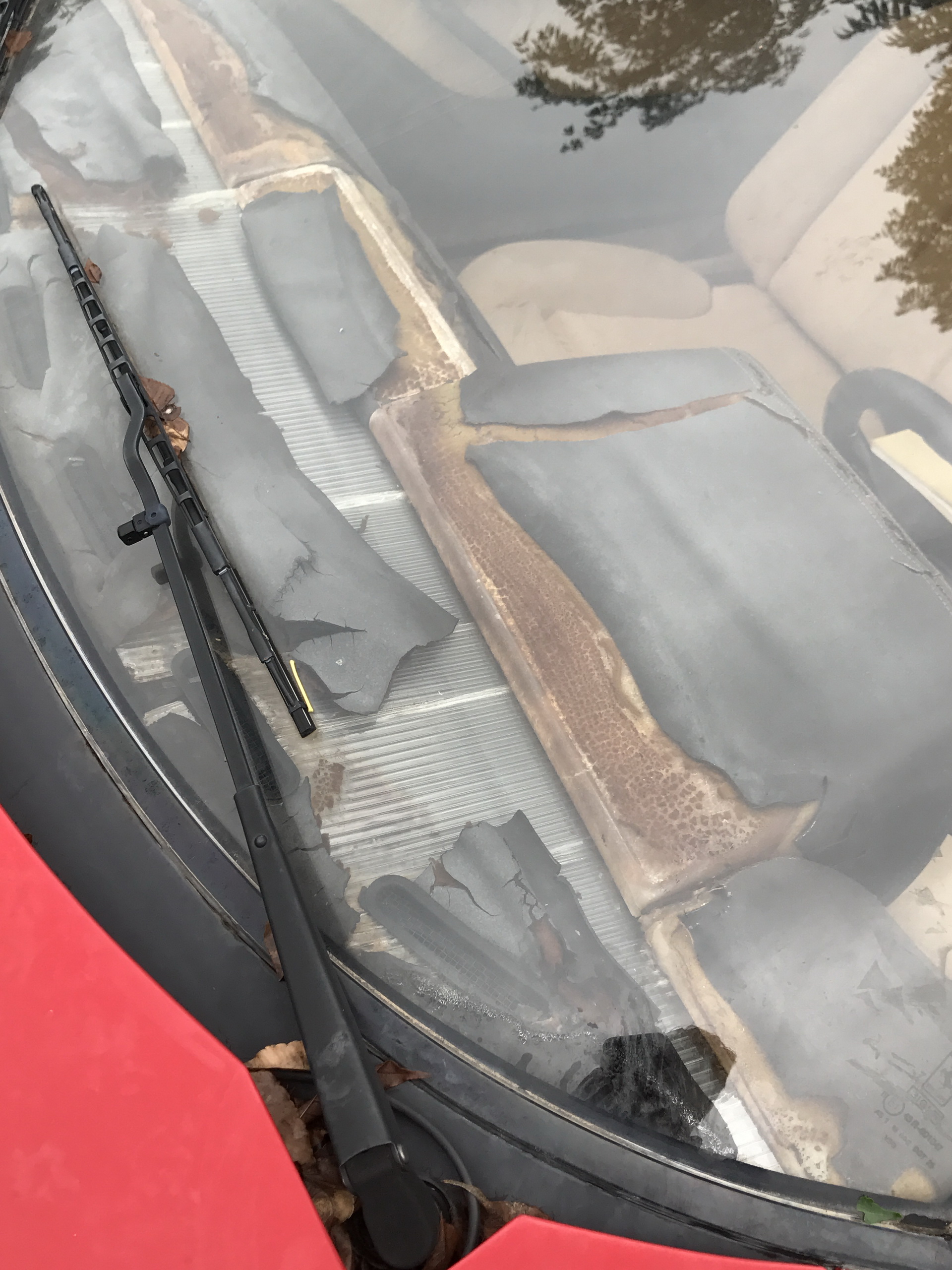 Ferrari-Abandoned-107 How Could ANYONE Let 11 Classic Ferraris To Die On A Field?