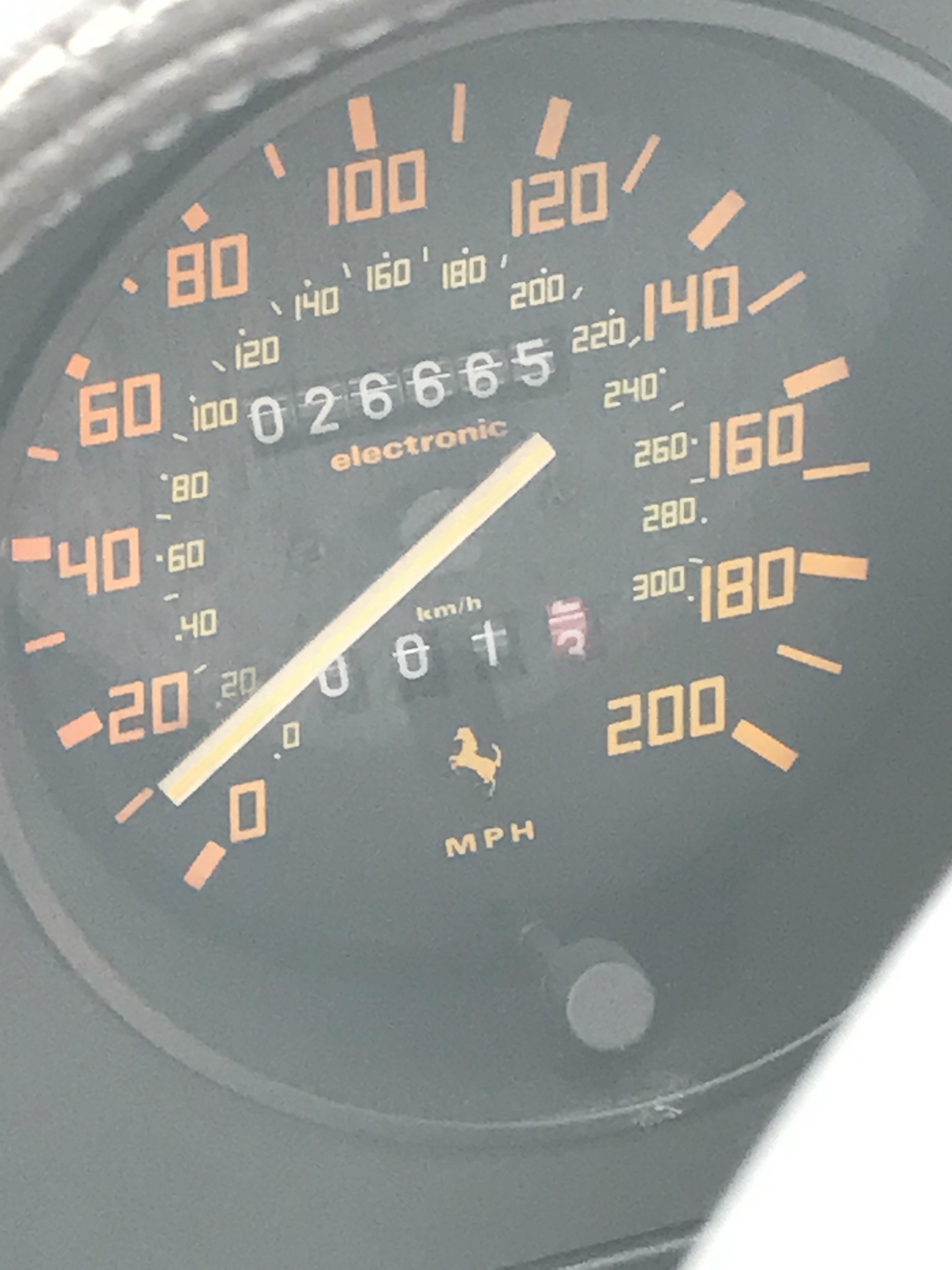 Ferrari-Abandoned-35 How Could ANYONE Let 11 Classic Ferraris To Die On A Field?