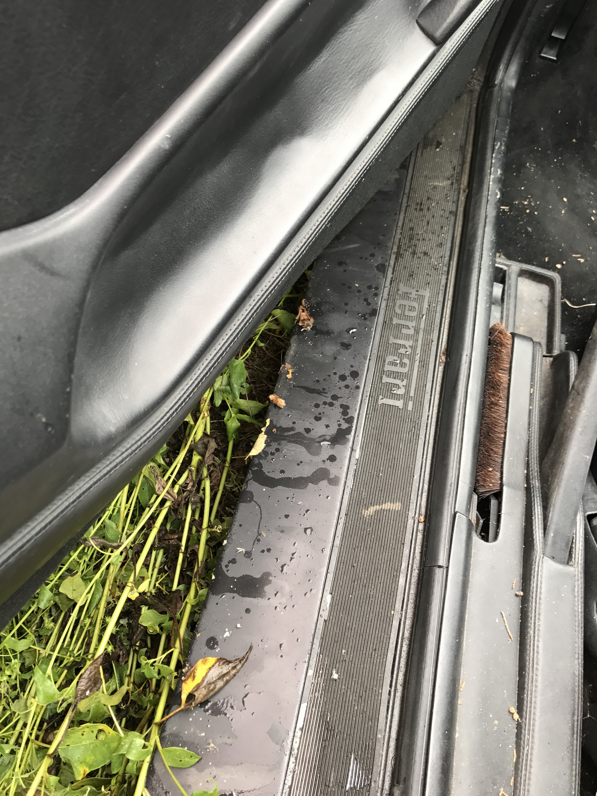 Ferrari-Abandoned-51 How Could ANYONE Let 11 Classic Ferraris To Die On A Field?