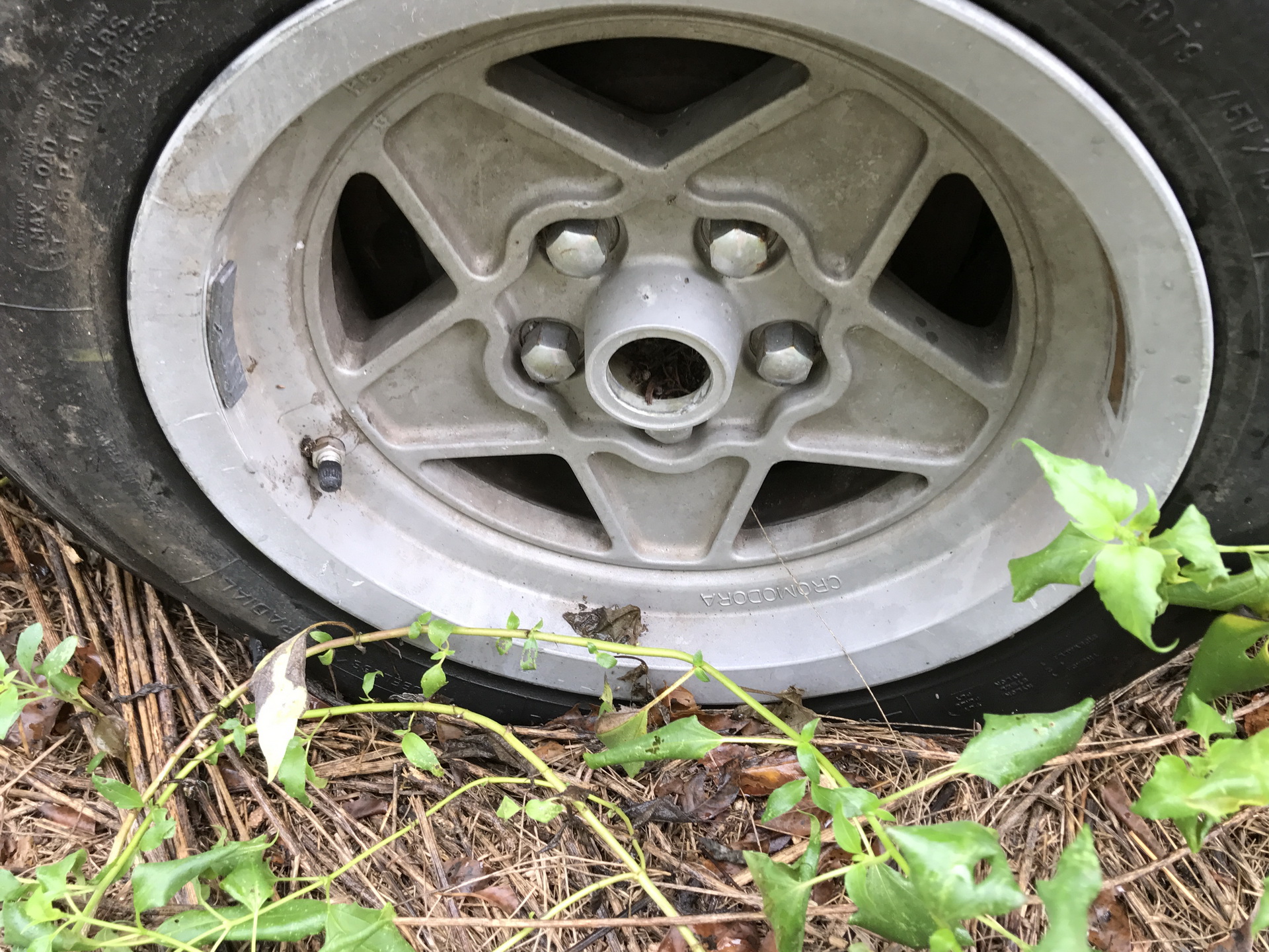 Ferrari-Abandoned-74 How Could ANYONE Let 11 Classic Ferraris To Die On A Field?