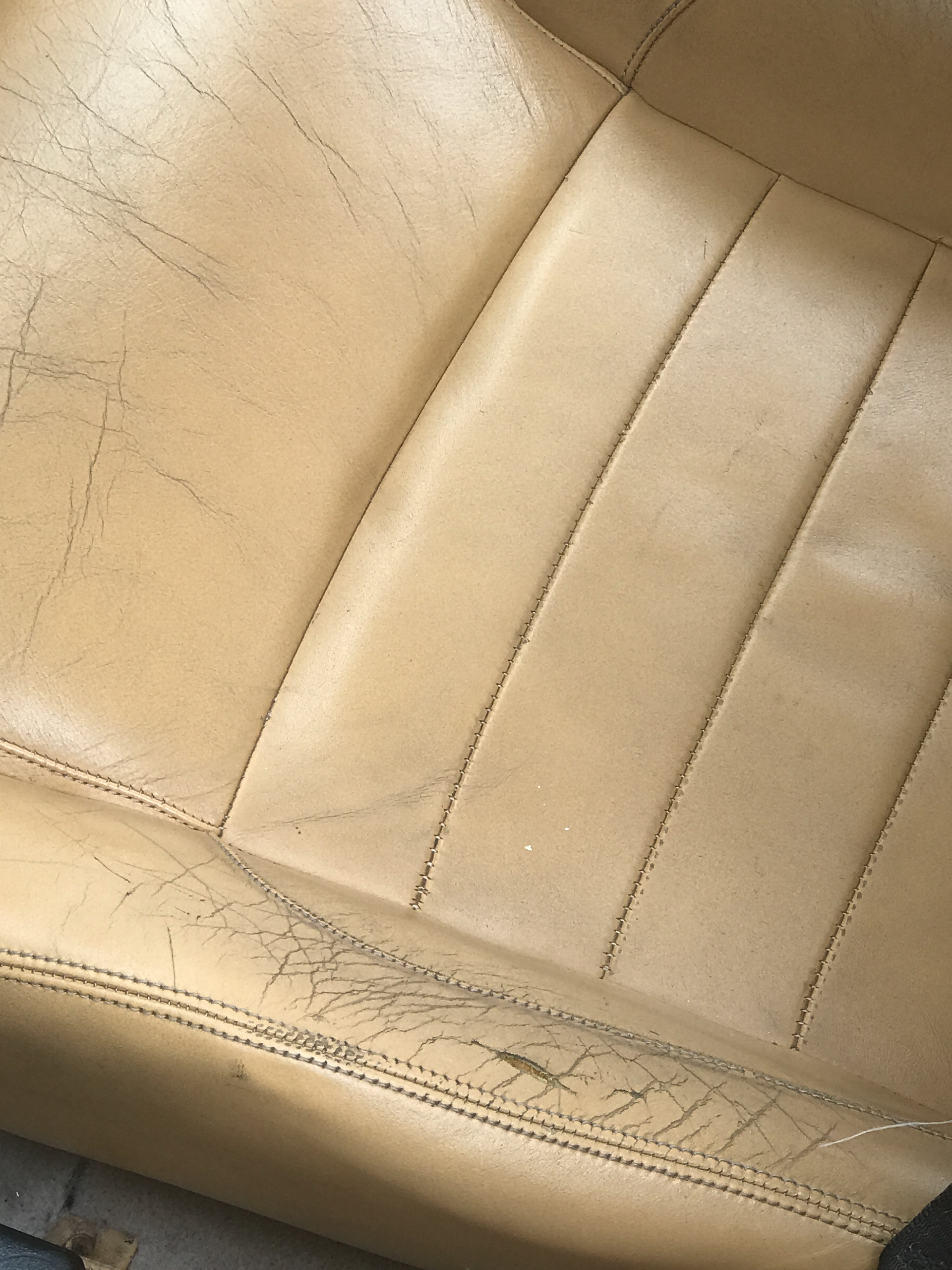 Ferrari-Abandoned-93 How Could ANYONE Let 11 Classic Ferraris To Die On A Field?