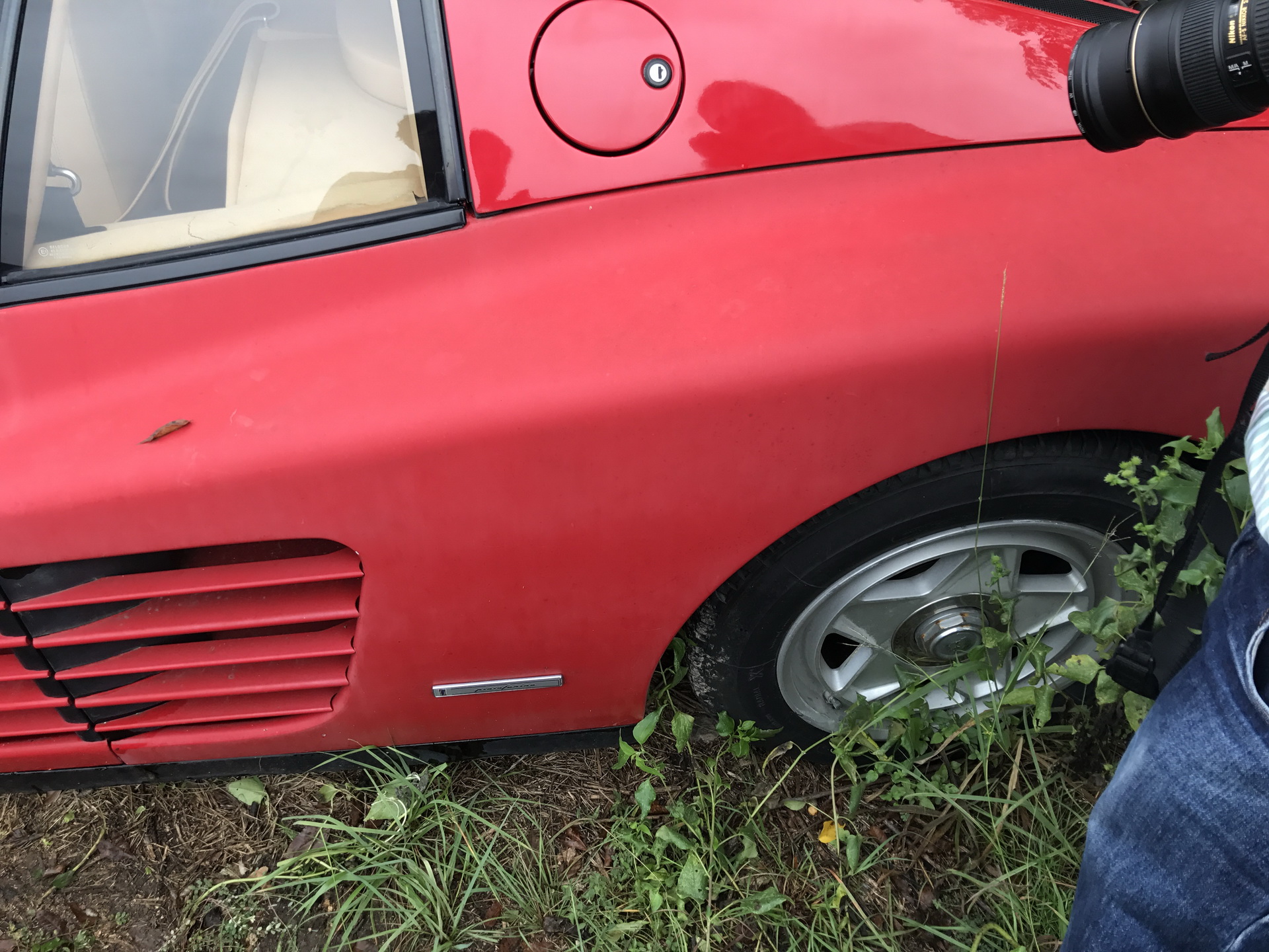 Ferrari-Abandoned-110 How Could ANYONE Let 11 Classic Ferraris To Die On A Field?