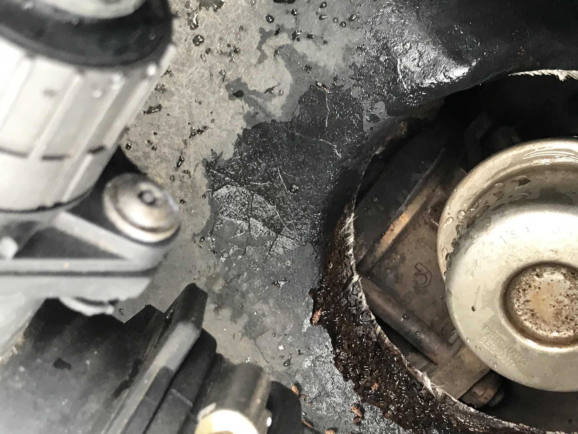 Ferrari-Abandoned-64 How Could ANYONE Let 11 Classic Ferraris To Die On A Field?