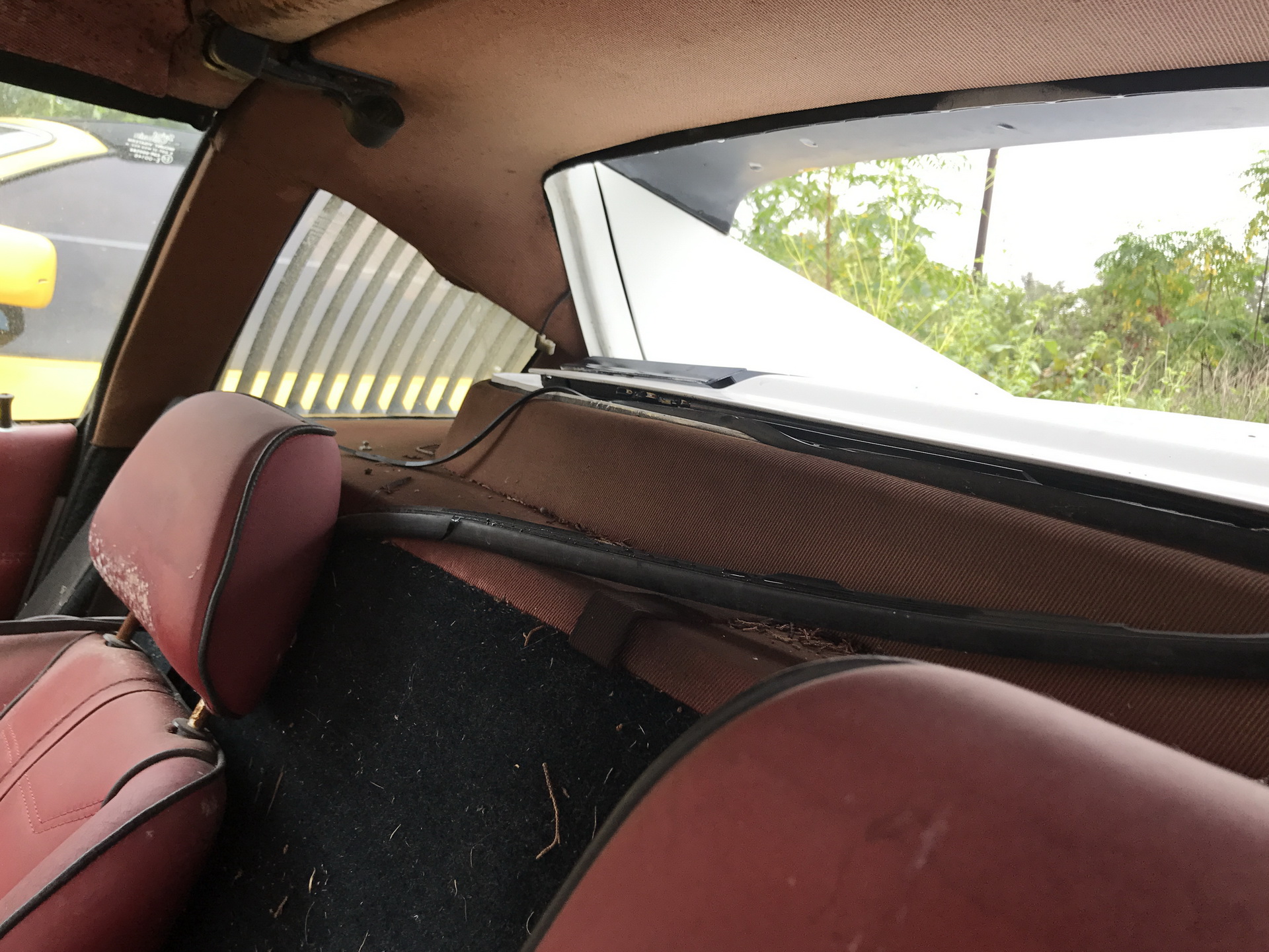 Ferrari-Abandoned-12 How Could ANYONE Let 11 Classic Ferraris To Die On A Field?