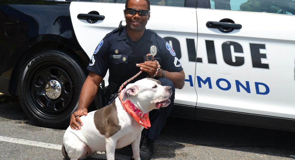 Criminal Mastermind Parks Car With Marijuana At Police K-9 Training Lot