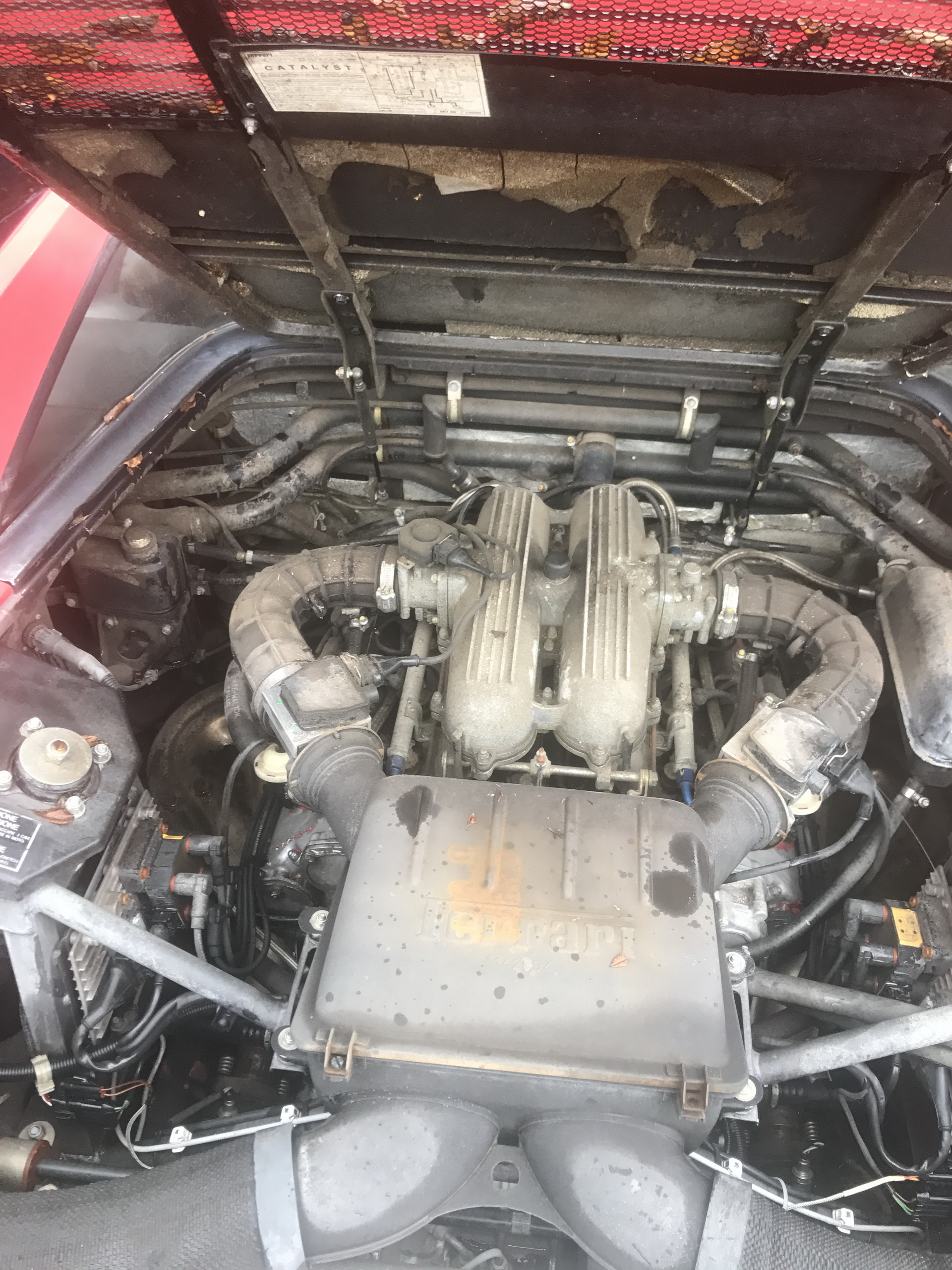 Ferrari-Abandoned-88 How Could ANYONE Let 11 Classic Ferraris To Die On A Field?