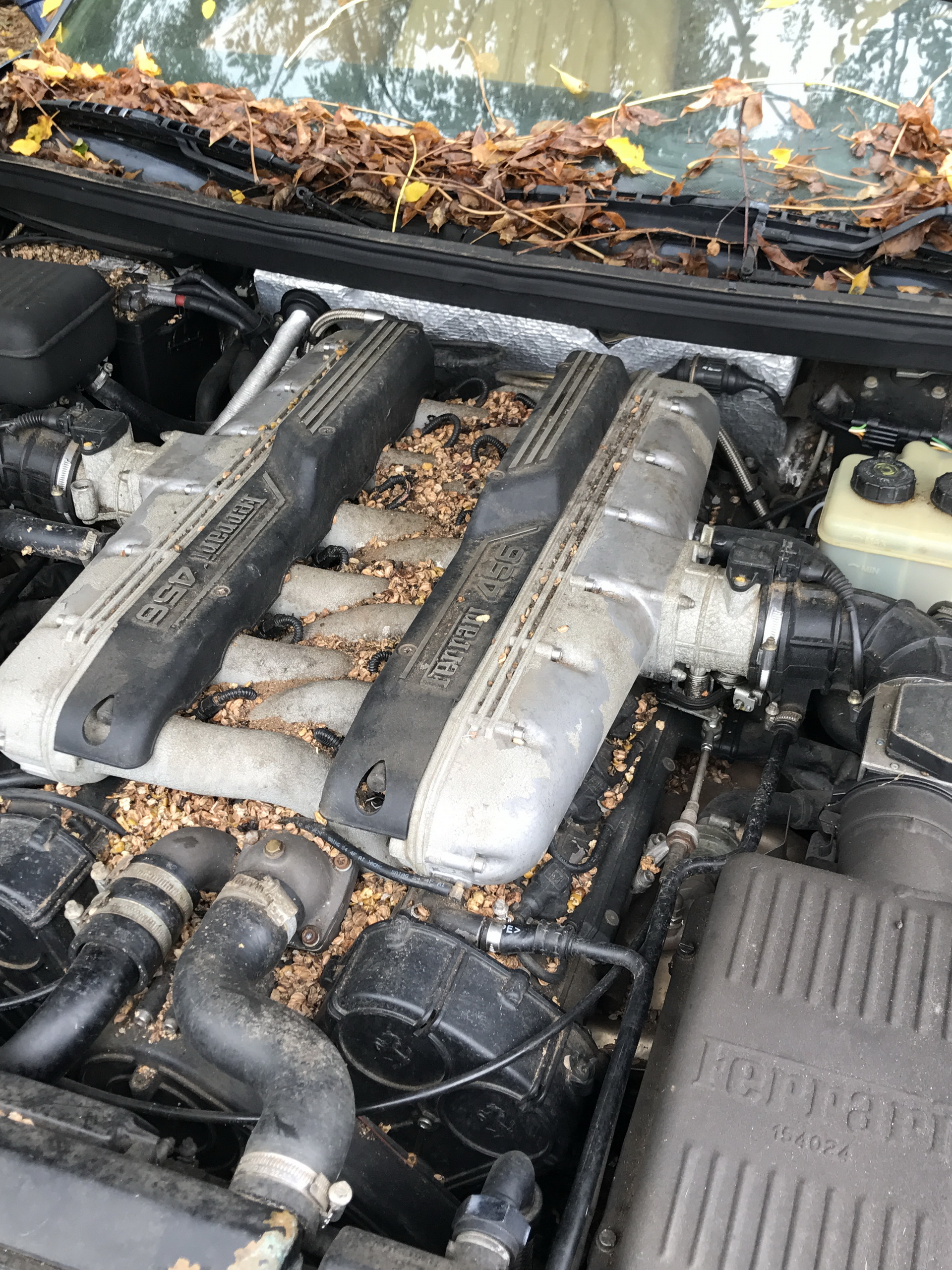 Ferrari-Abandoned-99 How Could ANYONE Let 11 Classic Ferraris To Die On A Field?