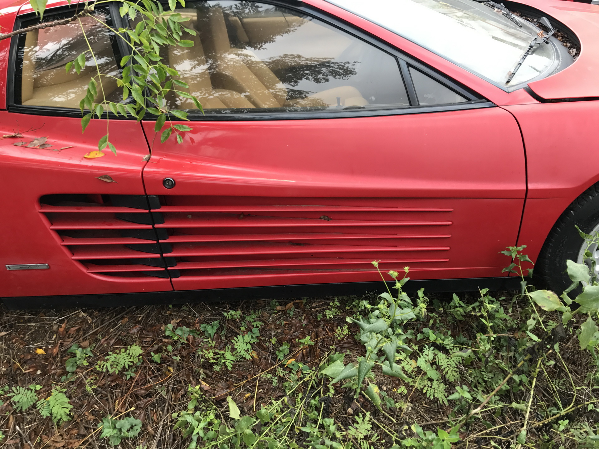Ferrari-Abandoned-115 How Could ANYONE Let 11 Classic Ferraris To Die On A Field?