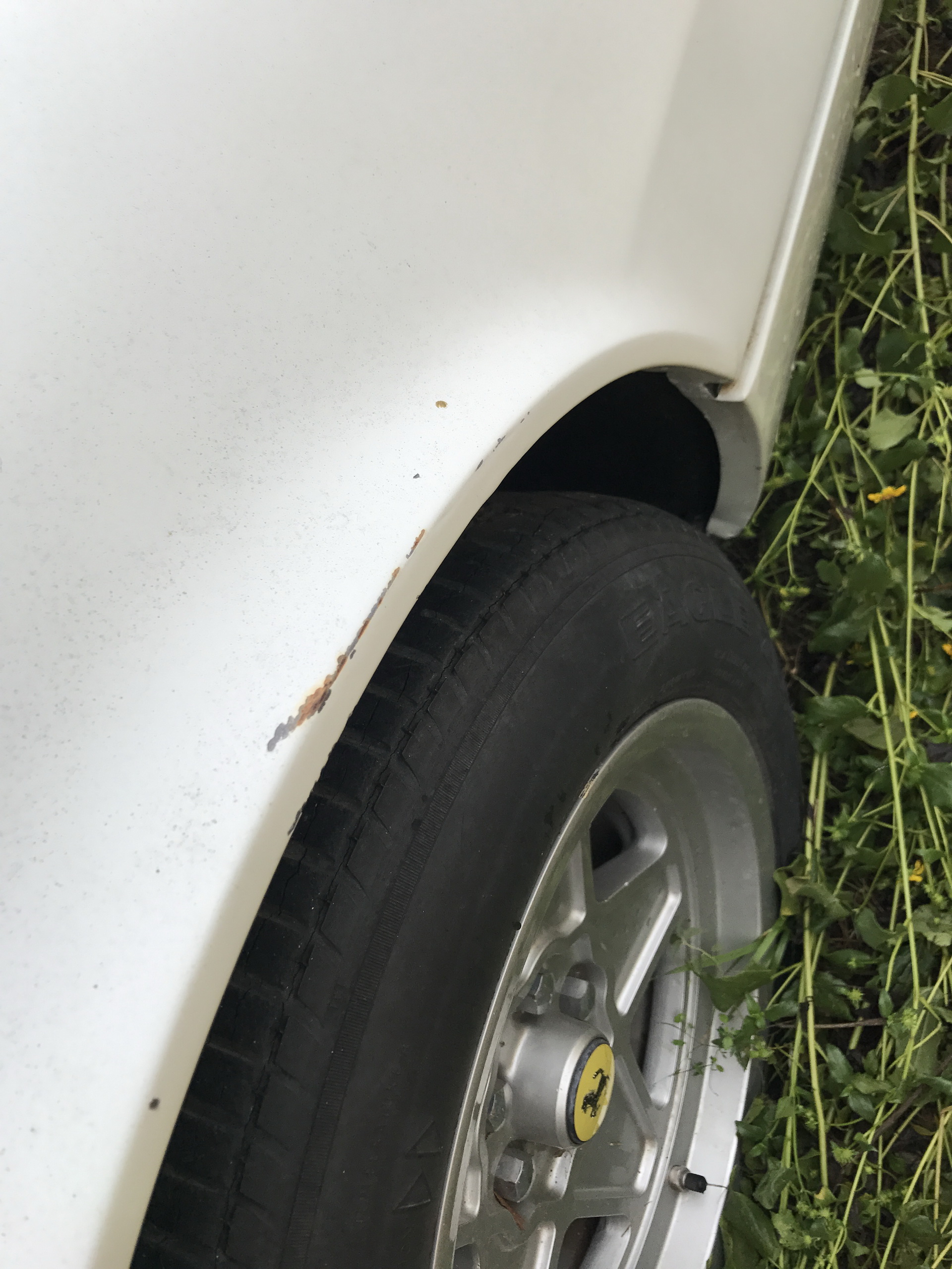 Ferrari-Abandoned-20 How Could ANYONE Let 11 Classic Ferraris To Die On A Field?