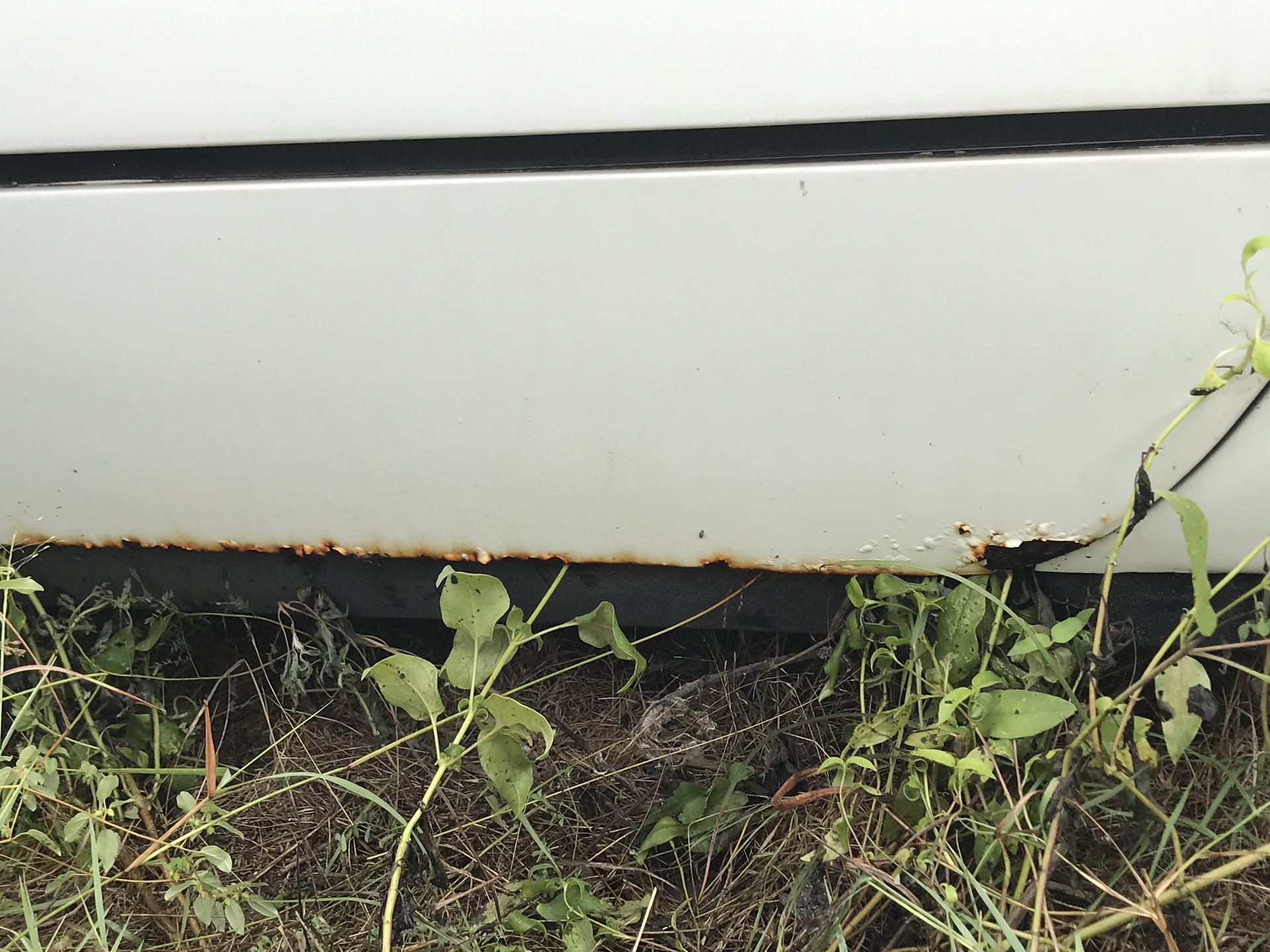 Ferrari-Abandoned-05 How Could ANYONE Let 11 Classic Ferraris To Die On A Field?