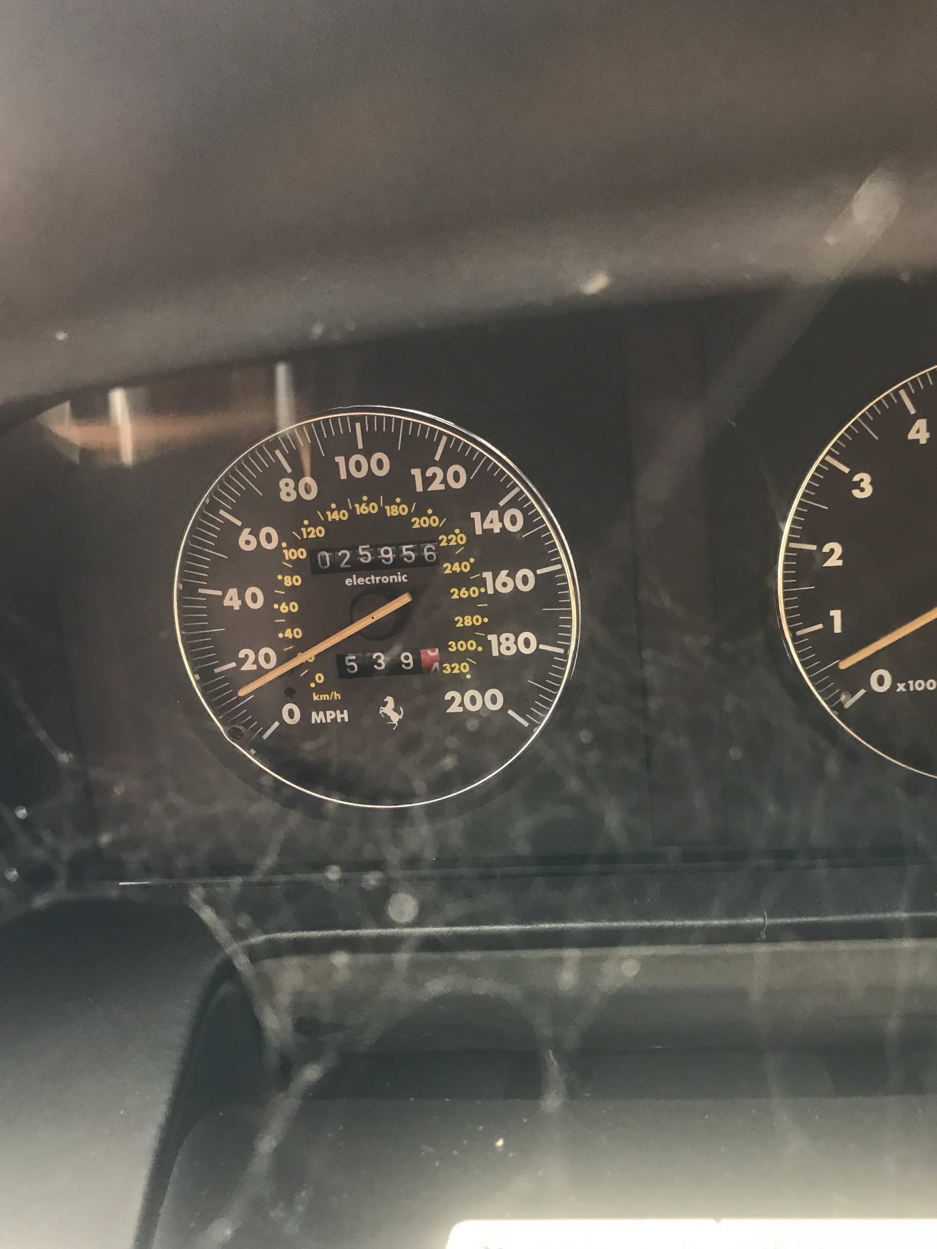 Ferrari-Abandoned-97 How Could ANYONE Let 11 Classic Ferraris To Die On A Field?