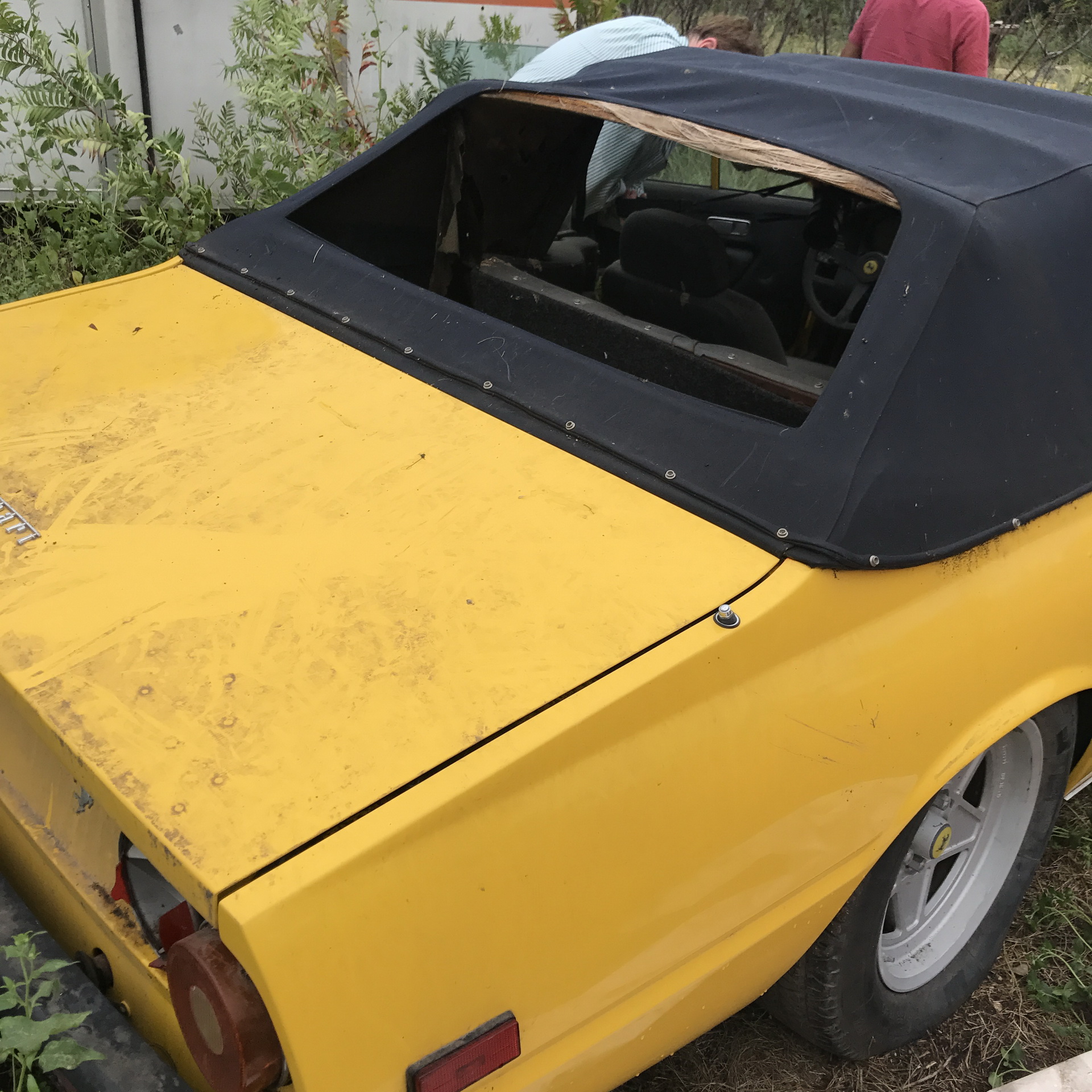 Ferrari-Abandoned-133 How Could ANYONE Let 11 Classic Ferraris To Die On A Field?