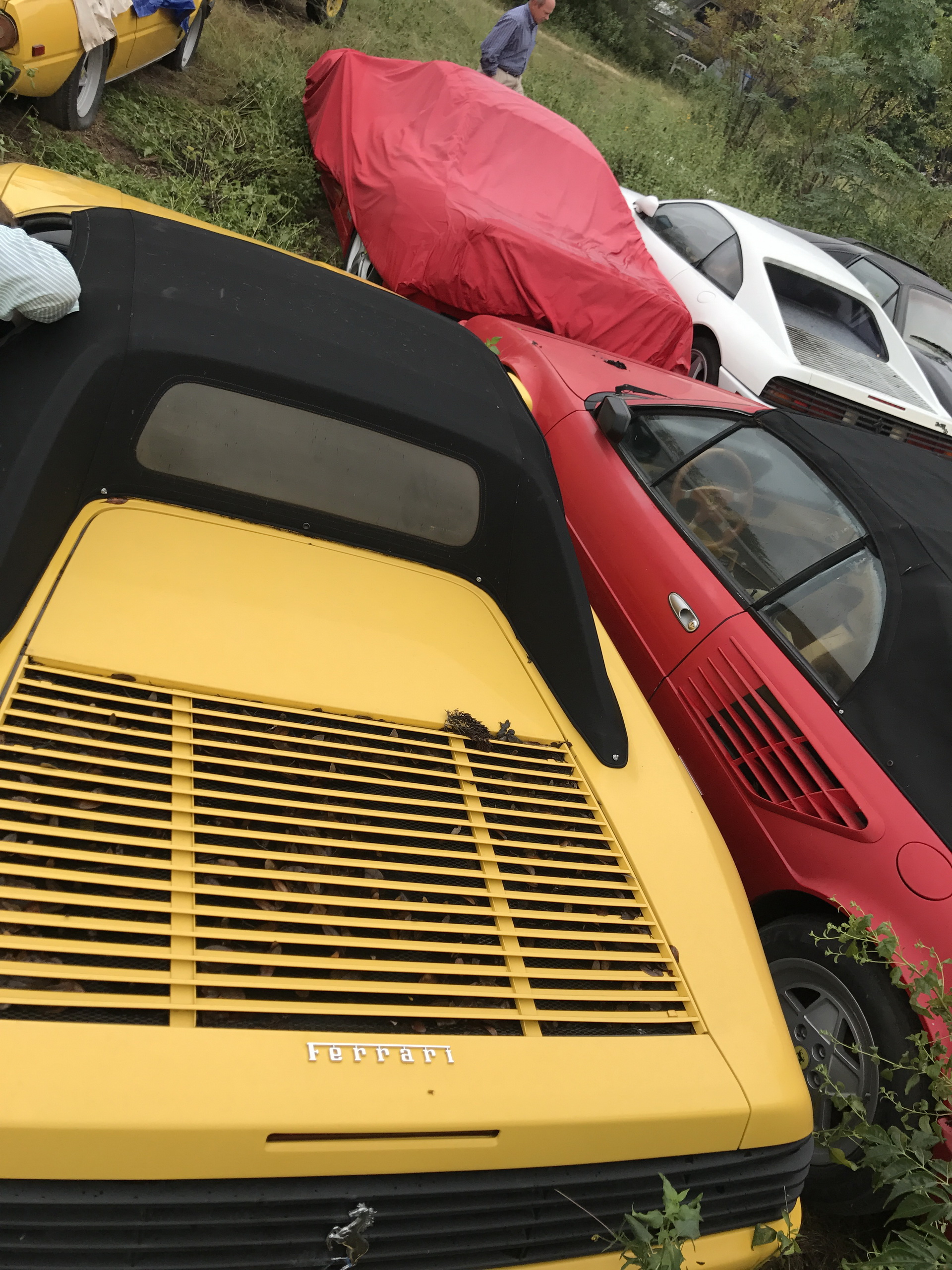 Ferrari-Abandoned-56 How Could ANYONE Let 11 Classic Ferraris To Die On A Field?