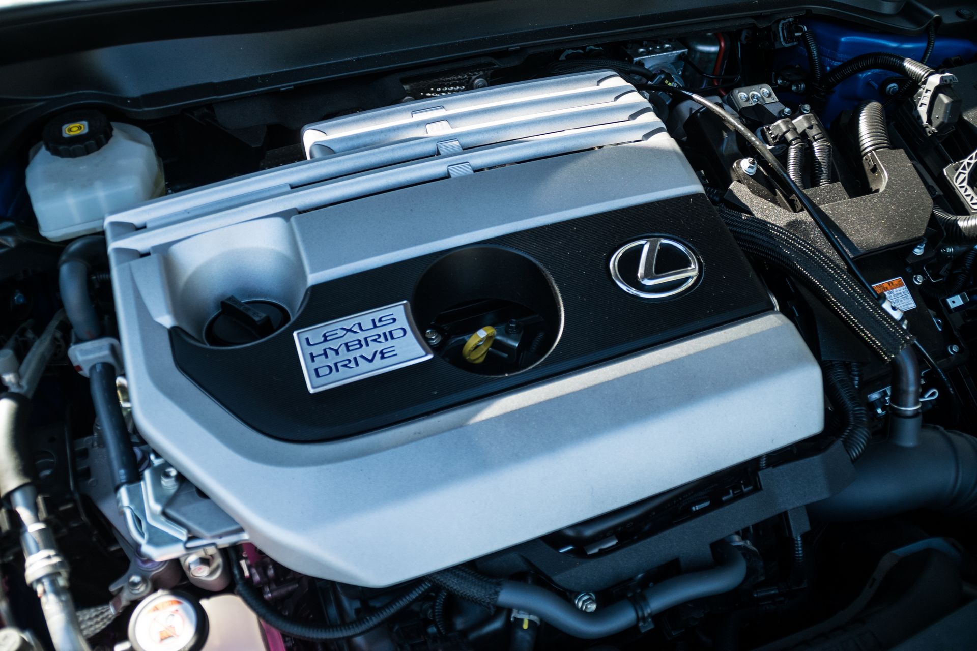 Driven: 2019 Lexus UX250h Is Edgy, Efficient And Engaging