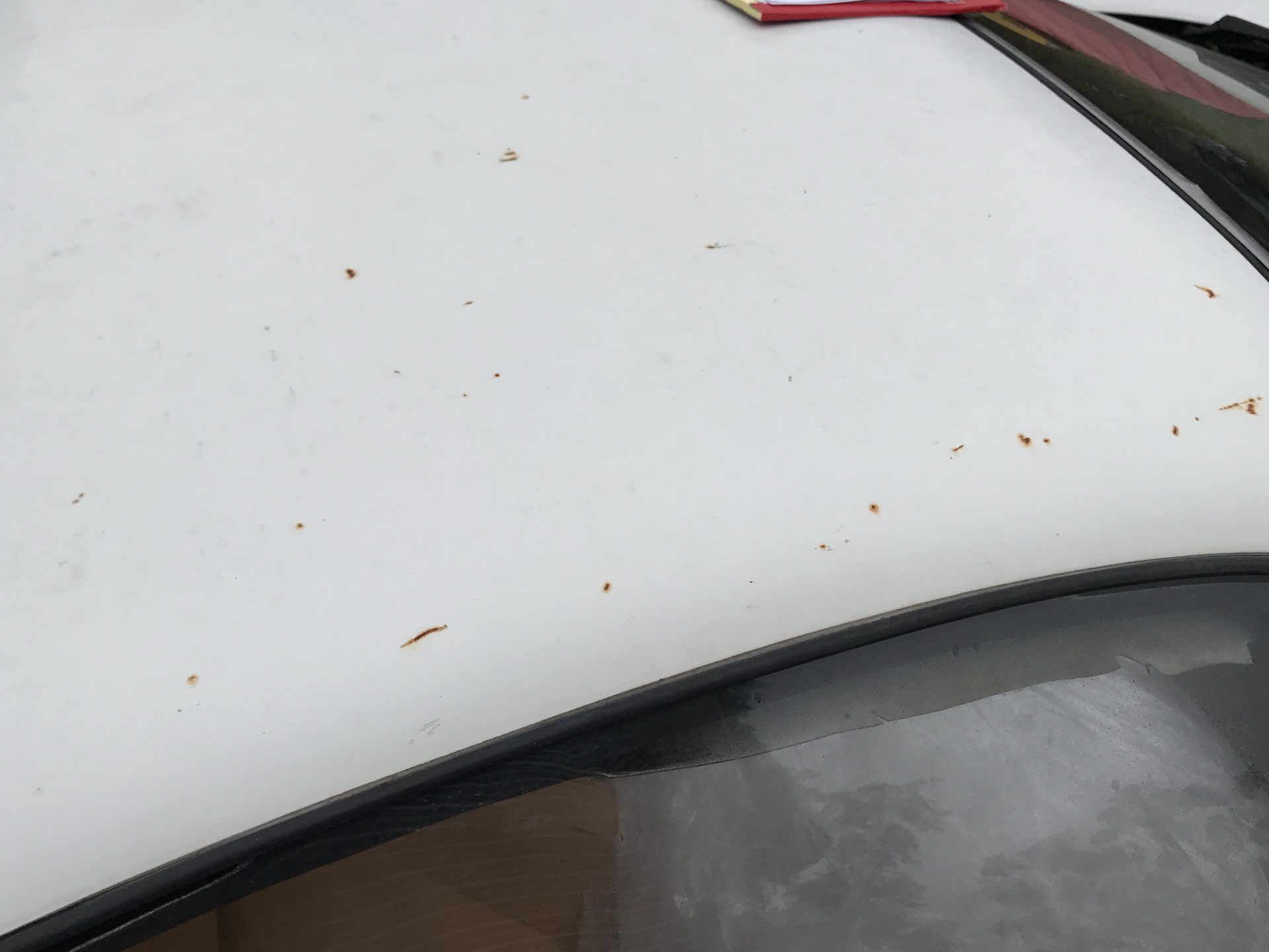 Ferrari-Abandoned-40 How Could ANYONE Let 11 Classic Ferraris To Die On A Field?