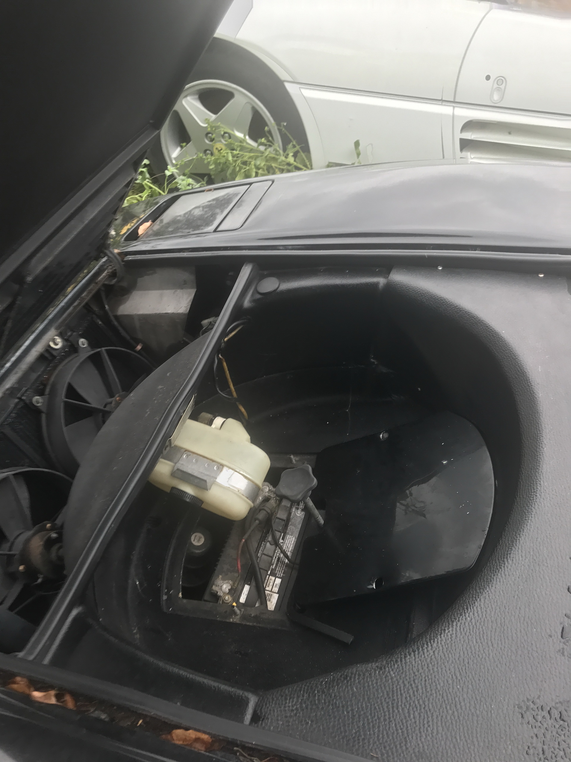 Ferrari-Abandoned-79 How Could ANYONE Let 11 Classic Ferraris To Die On A Field?