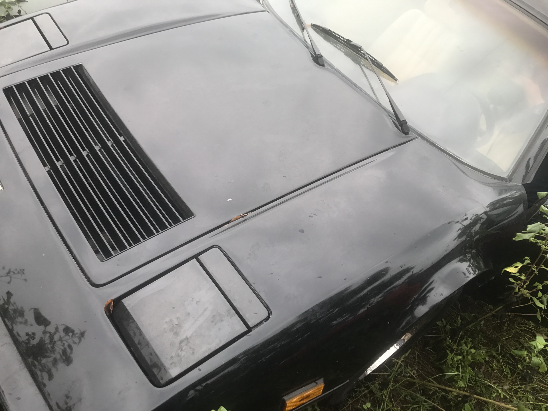 Ferrari-Abandoned-83 How Could ANYONE Let 11 Classic Ferraris To Die On A Field?