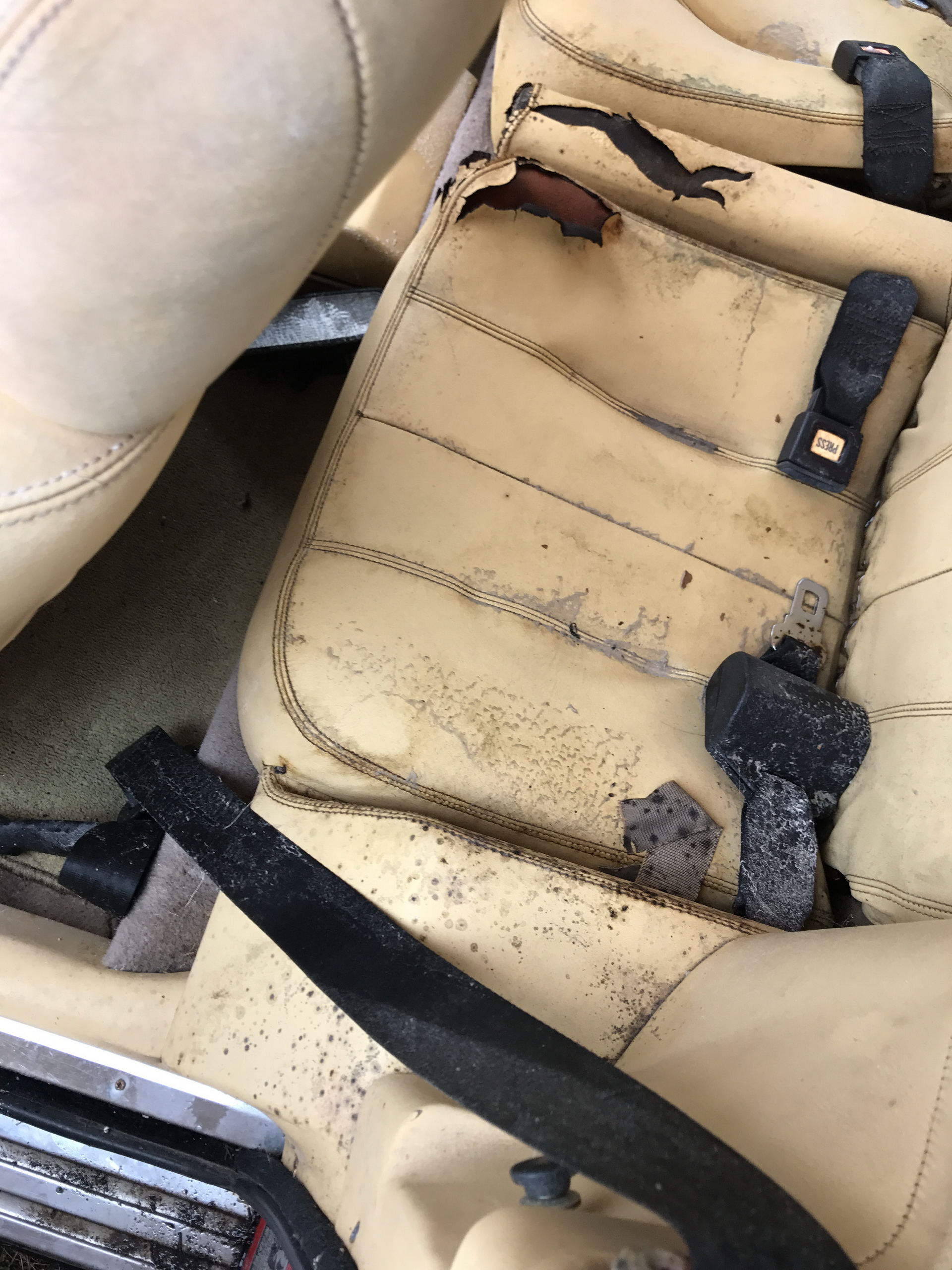 Ferrari-Abandoned-25 How Could ANYONE Let 11 Classic Ferraris To Die On A Field?