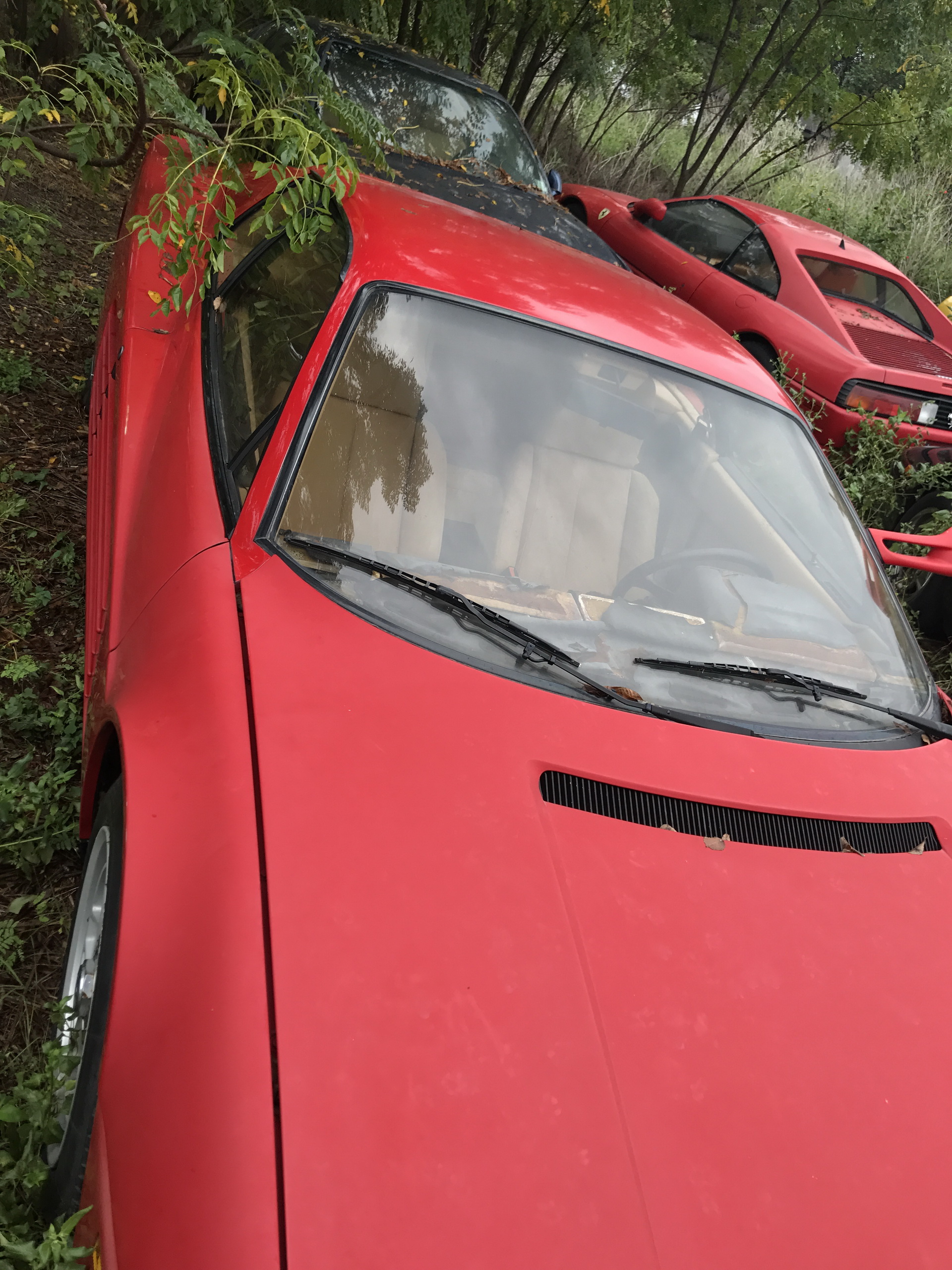 Ferrari-Abandoned-120 How Could ANYONE Let 11 Classic Ferraris To Die On A Field?