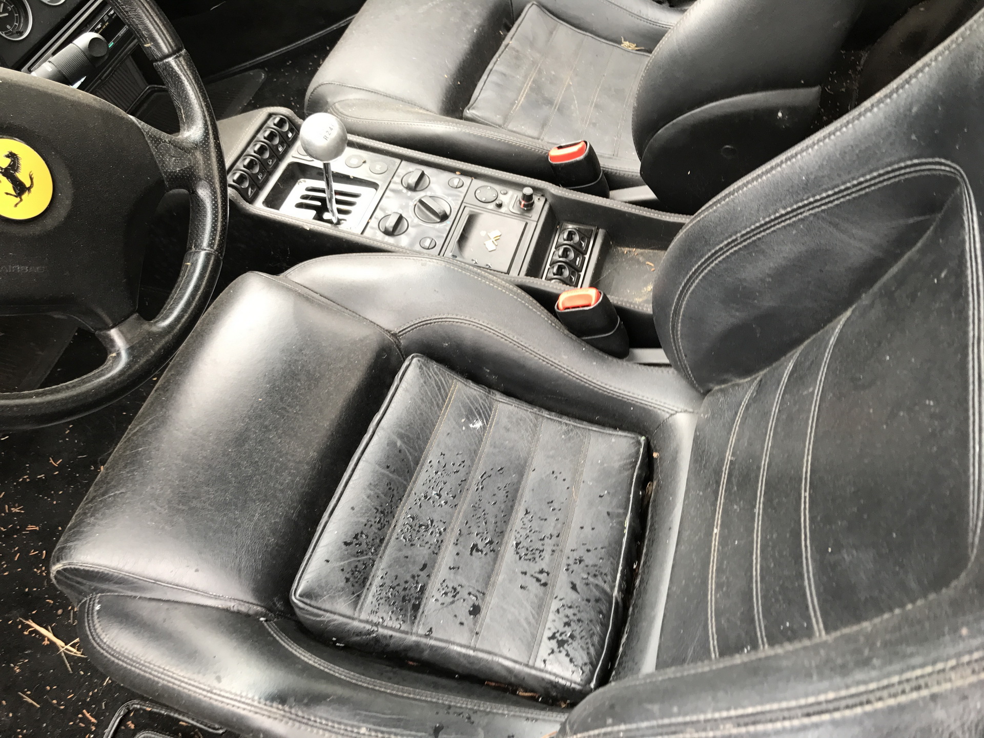 Ferrari-Abandoned-61 How Could ANYONE Let 11 Classic Ferraris To Die On A Field?