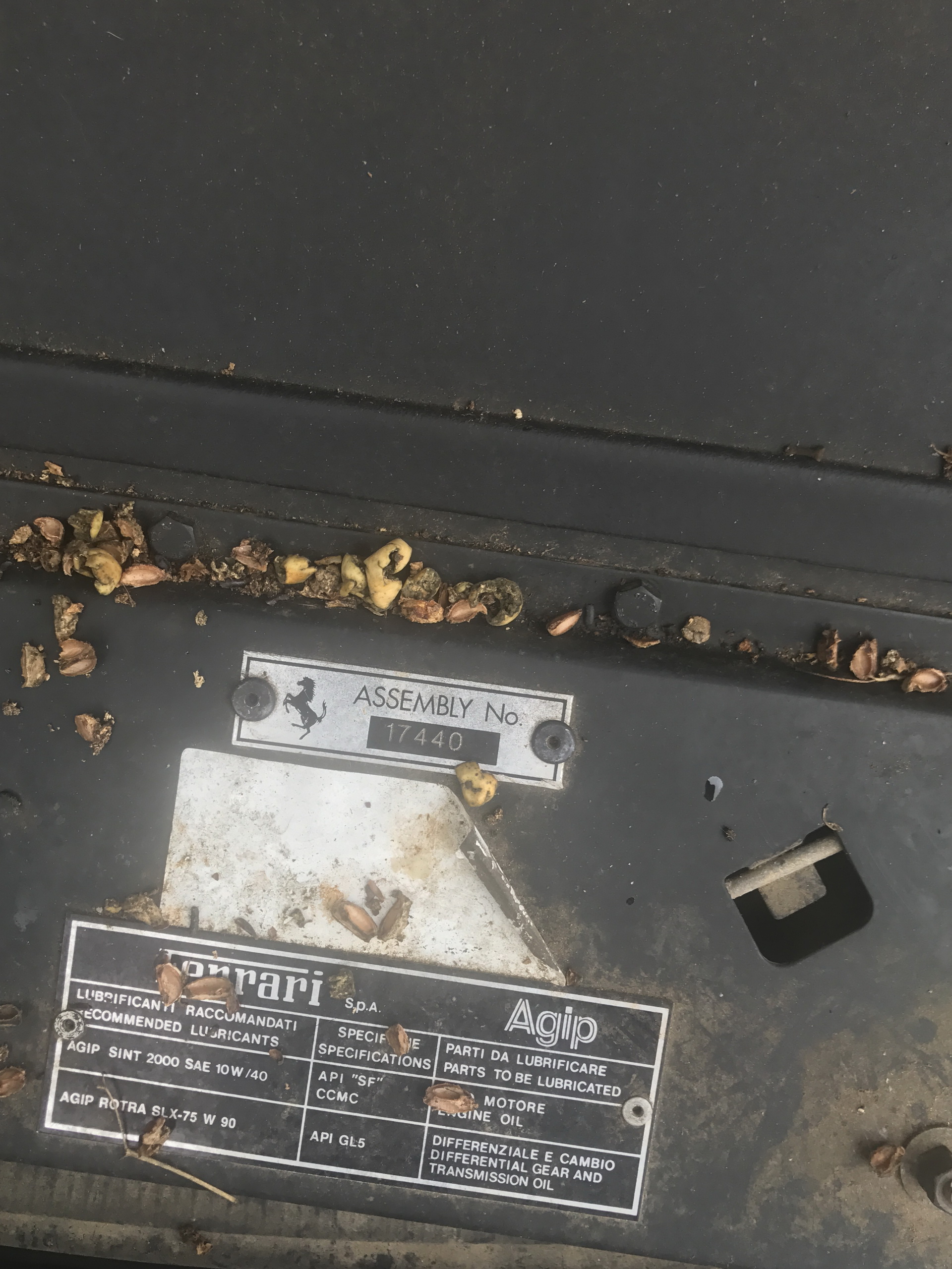 Ferrari-Abandoned-98 How Could ANYONE Let 11 Classic Ferraris To Die On A Field?