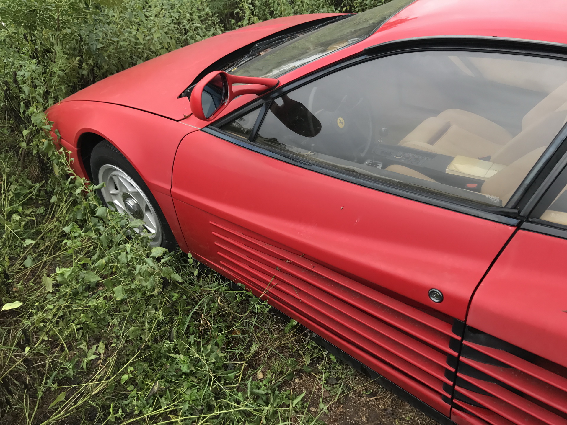 Ferrari-Abandoned-111 How Could ANYONE Let 11 Classic Ferraris To Die On A Field?