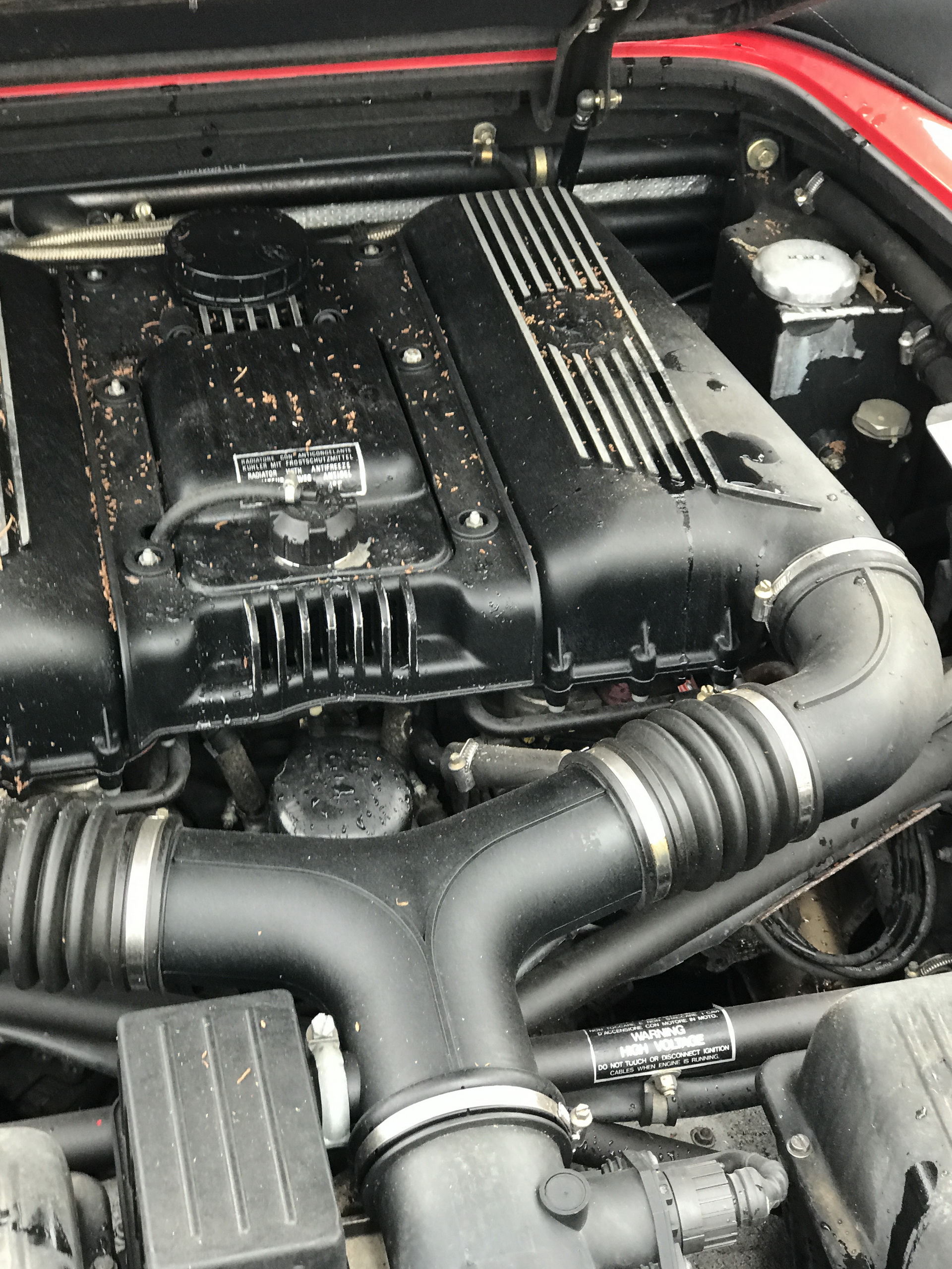 Ferrari-Abandoned-63 How Could ANYONE Let 11 Classic Ferraris To Die On A Field?