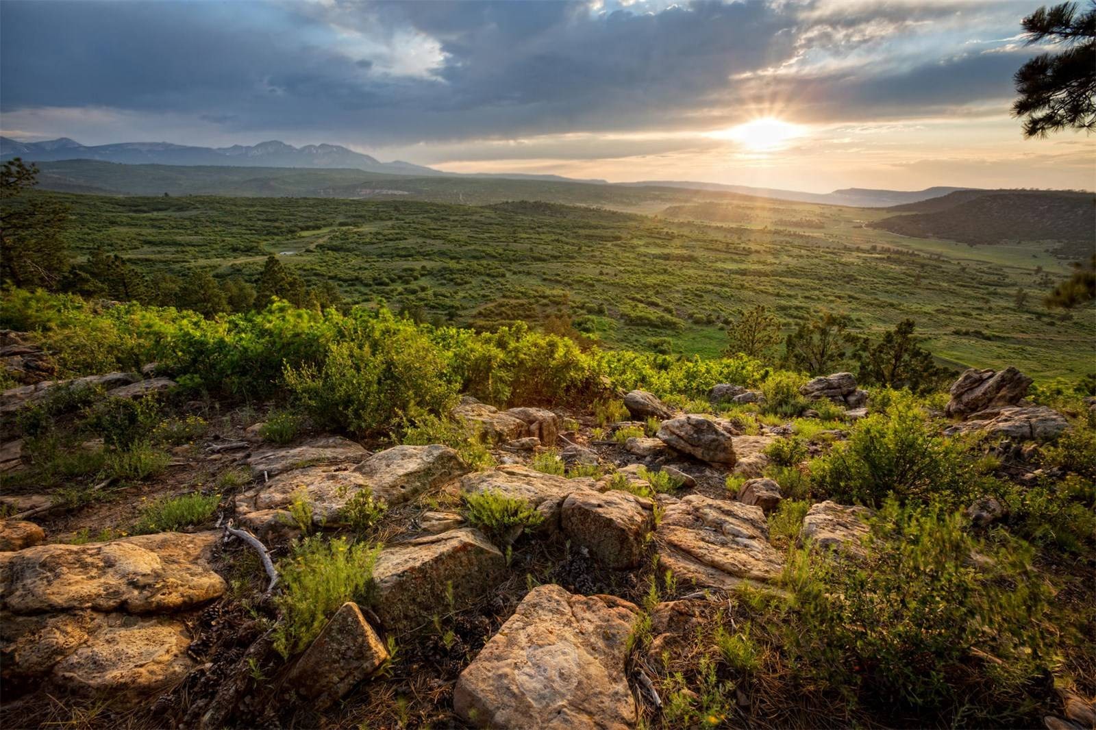 Buy Your Own Car Museum (And A Resort) For Just $279 Million