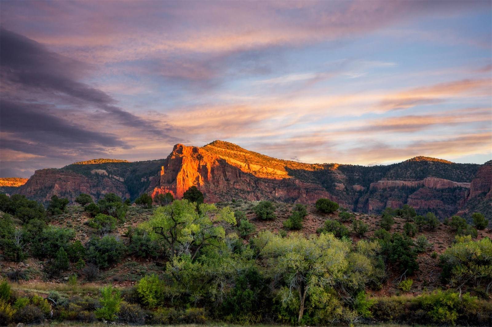 Buy Your Own Car Museum (And A Resort) For Just $279 Million