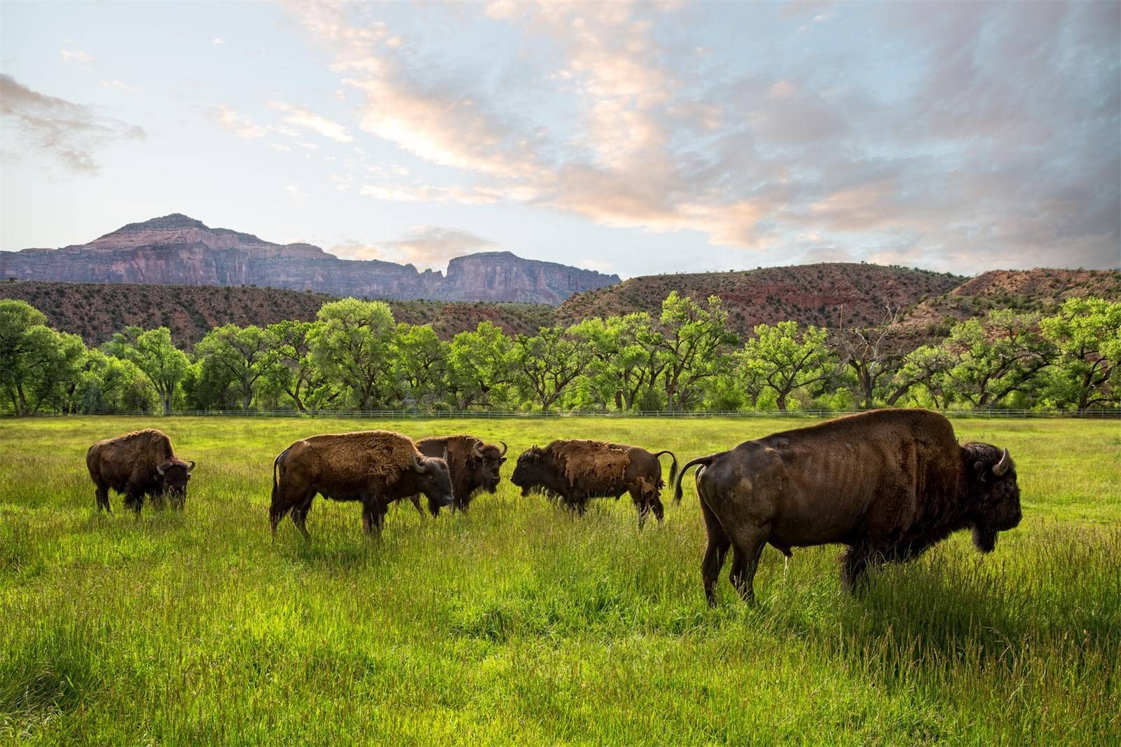 Buy Your Own Car Museum (And A Resort) For Just $279 Million