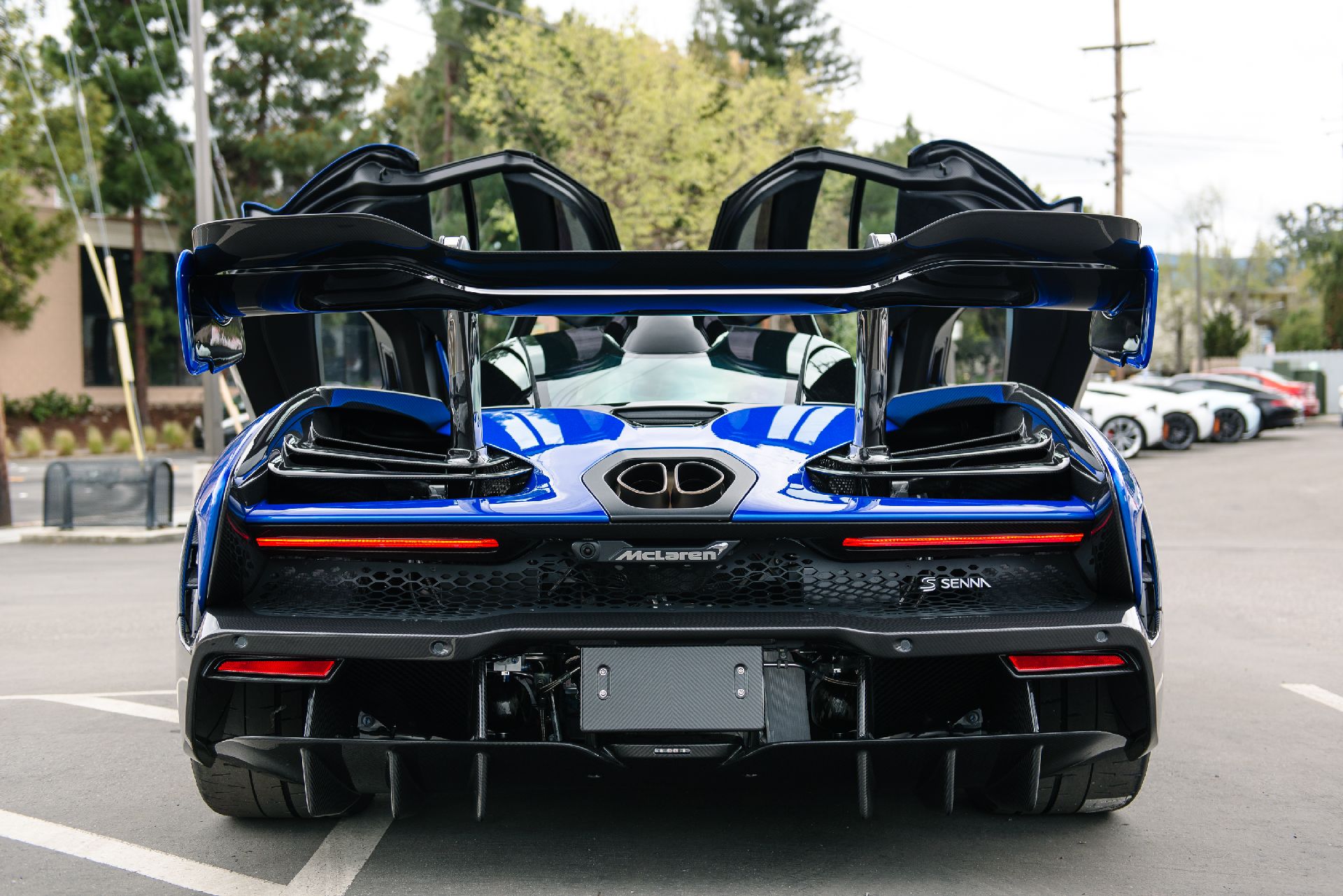 What Do You Think Of This Vega Blue McLaren Senna?